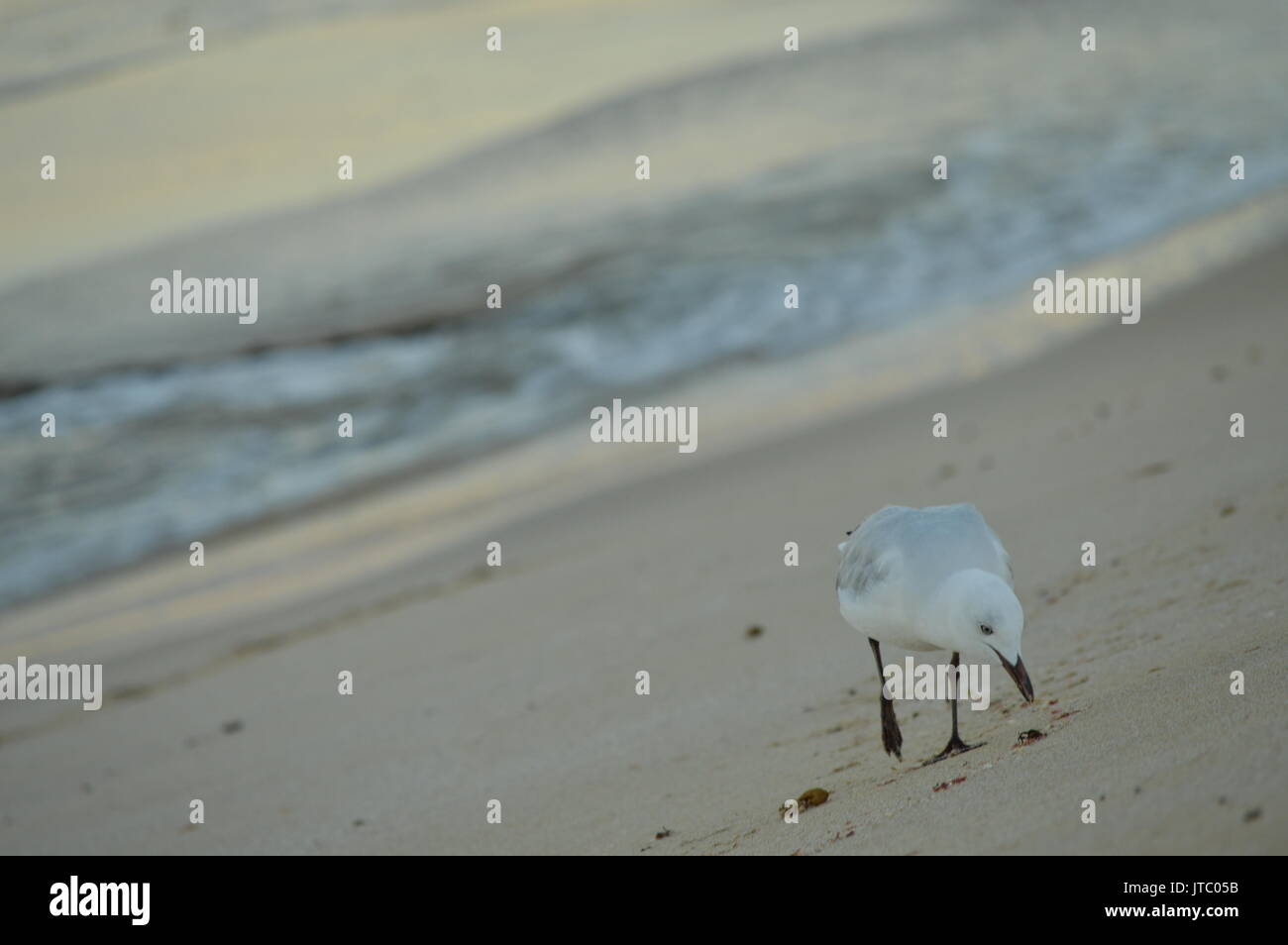 Ein Spaziergang Stockfoto