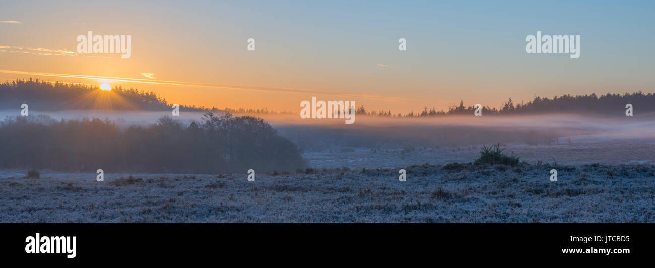 Fritham Plain im New Forest. Stockfoto