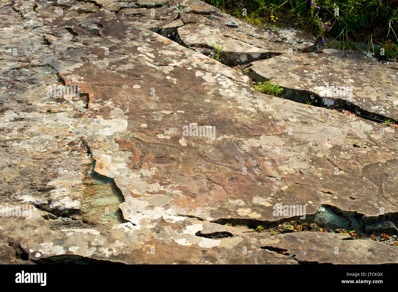 Ein petroglyph Panels mit einer Vielzahl von menschlichen und tierischen Bildern dargestellt Stockfoto