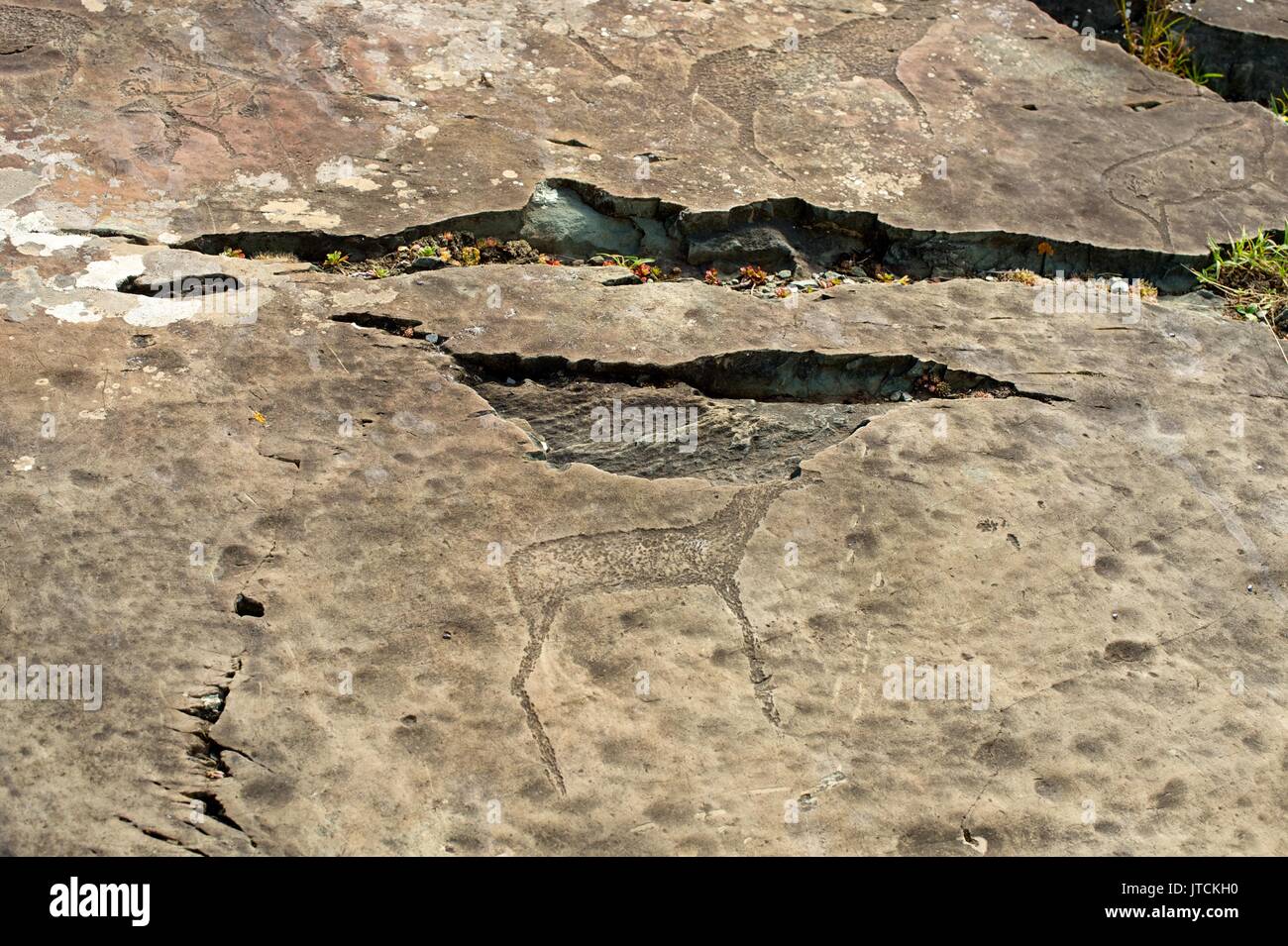 Ein petroglyph Panels mit einer Vielzahl von menschlichen und tierischen Bildern dargestellt Stockfoto