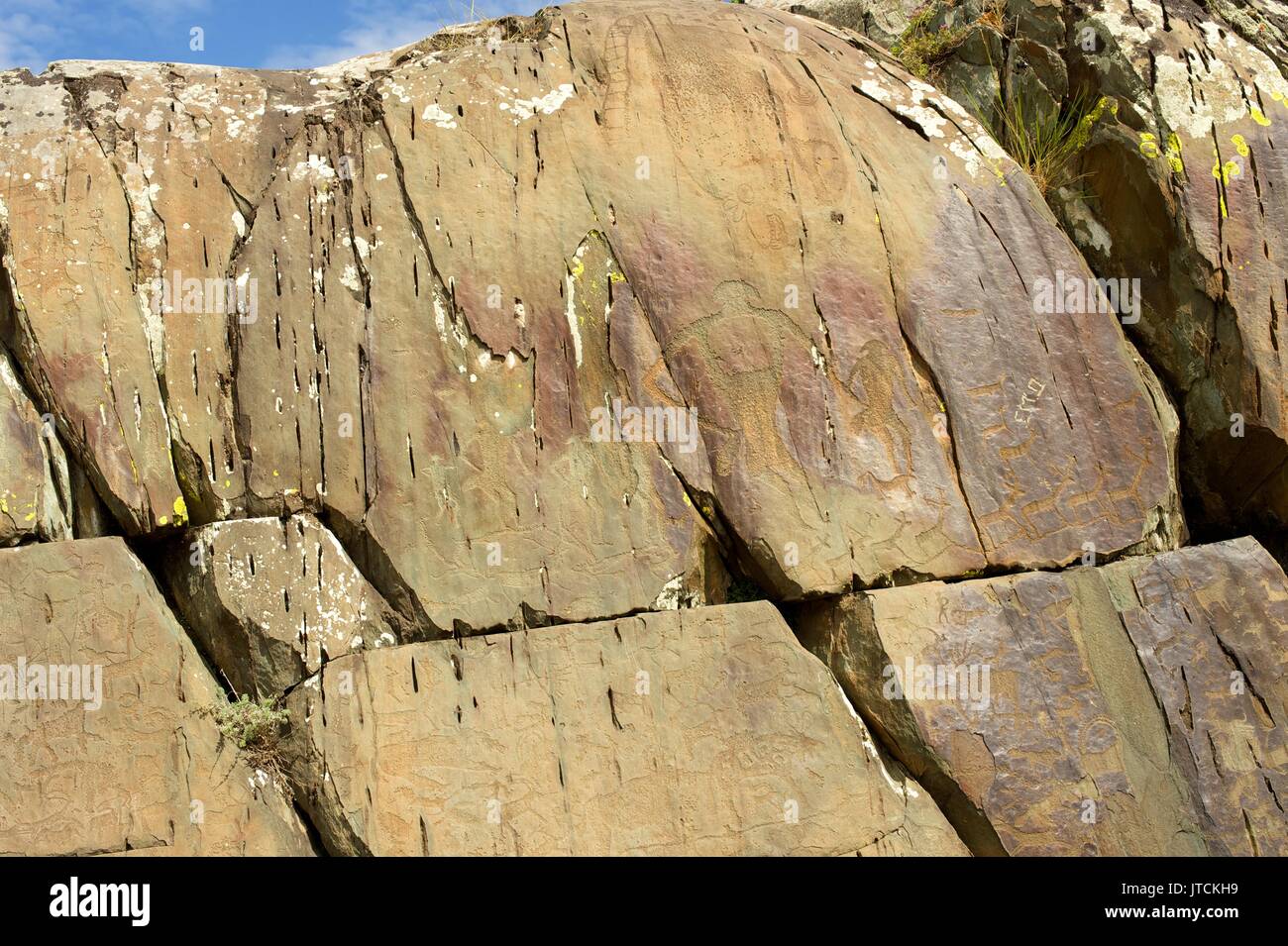 Ein petroglyph Panels mit einer Vielzahl von menschlichen und tierischen Bildern dargestellt Stockfoto