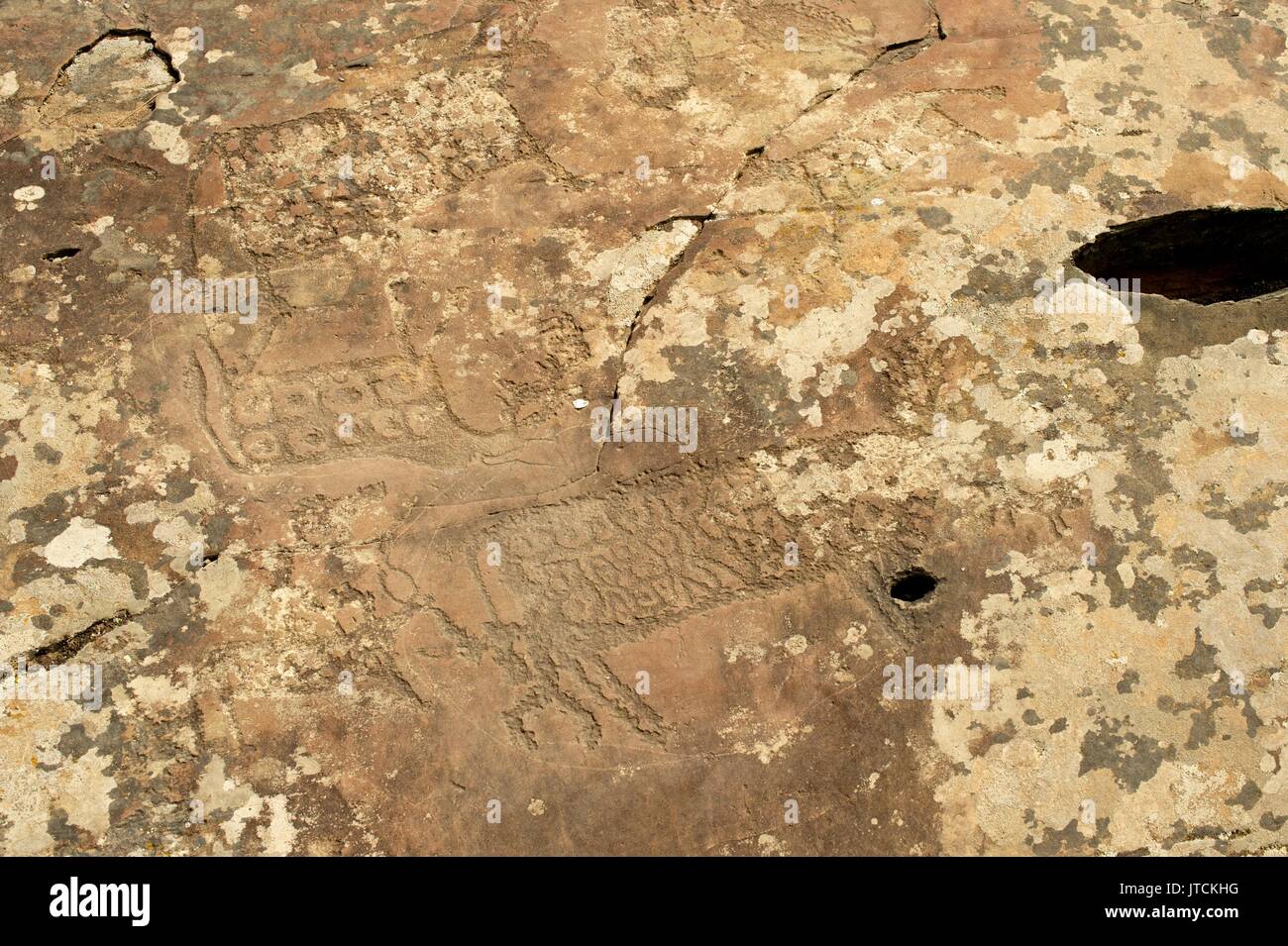 Ein petroglyph Panels mit einer Vielzahl von menschlichen und tierischen Bildern dargestellt Stockfoto