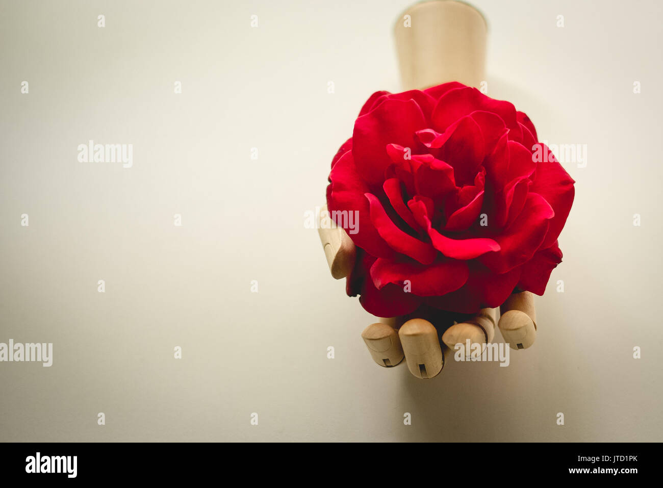 Jahrgang suche Bild eines hölzernen Modell Hand eine rote Rose. Stockfoto