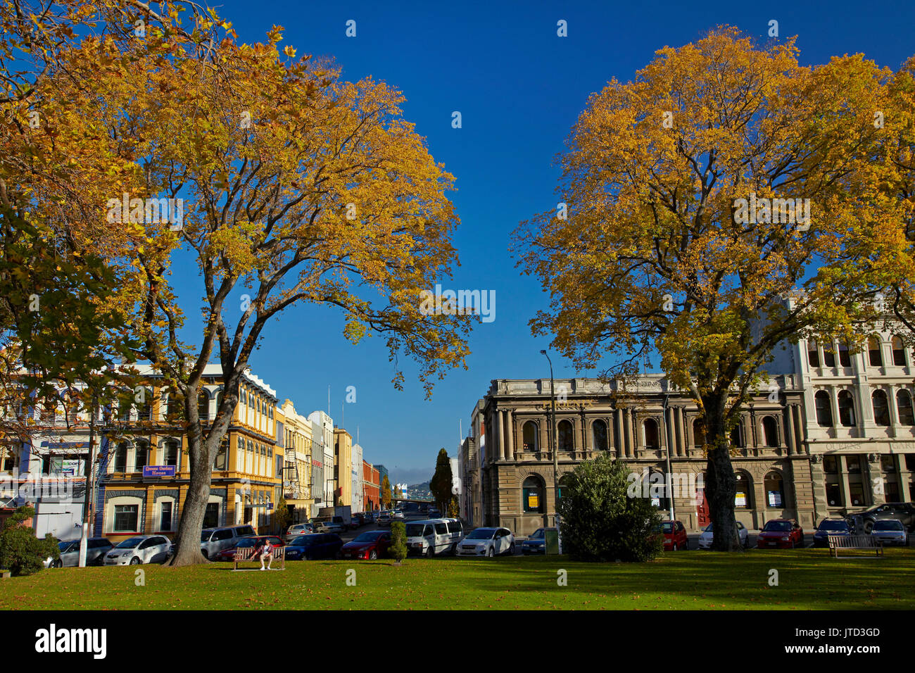 Herbstliche Farben, Queens Gardens, und Vogel Street, Dunedin, Südinsel, Neuseeland Stockfoto