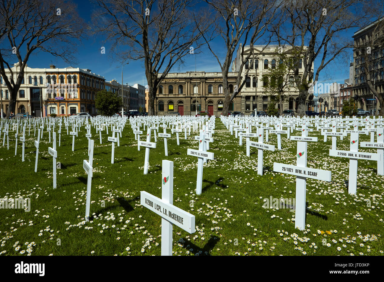 Soldaten kreuzen in WWI Feld der Erinnerung und historische Gebäude, Queens Gardens, Dunedin, Südinsel, Neuseeland Stockfoto