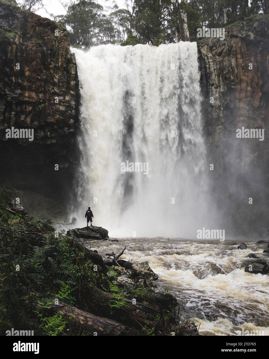 Trentham fällt Raging nach starkem Regen mit Person stand vor der Wasserfall machen sie winzig. Stockfoto