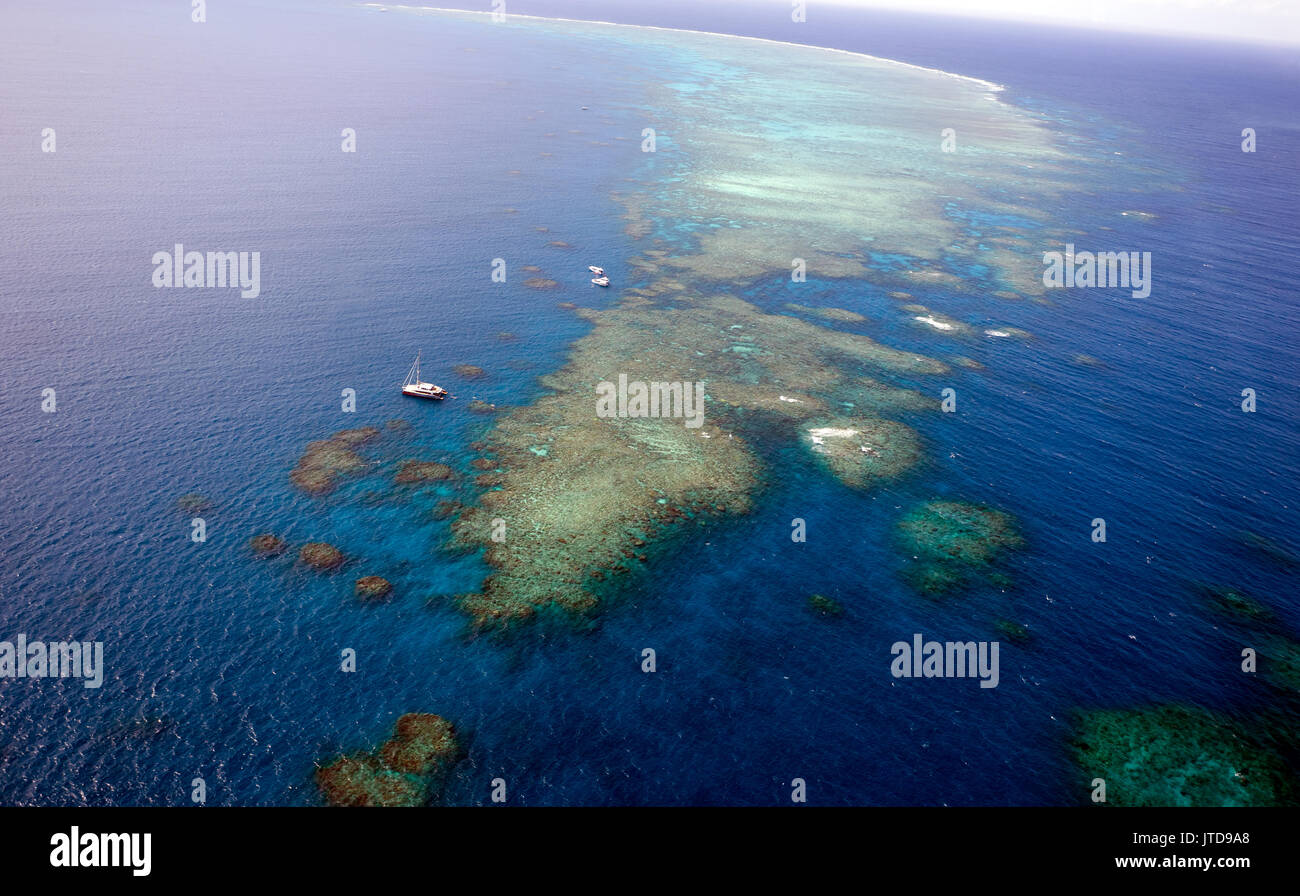 Luftaufnahme von Hastings Reef, Cairns, Queensland, Australien Stockfoto