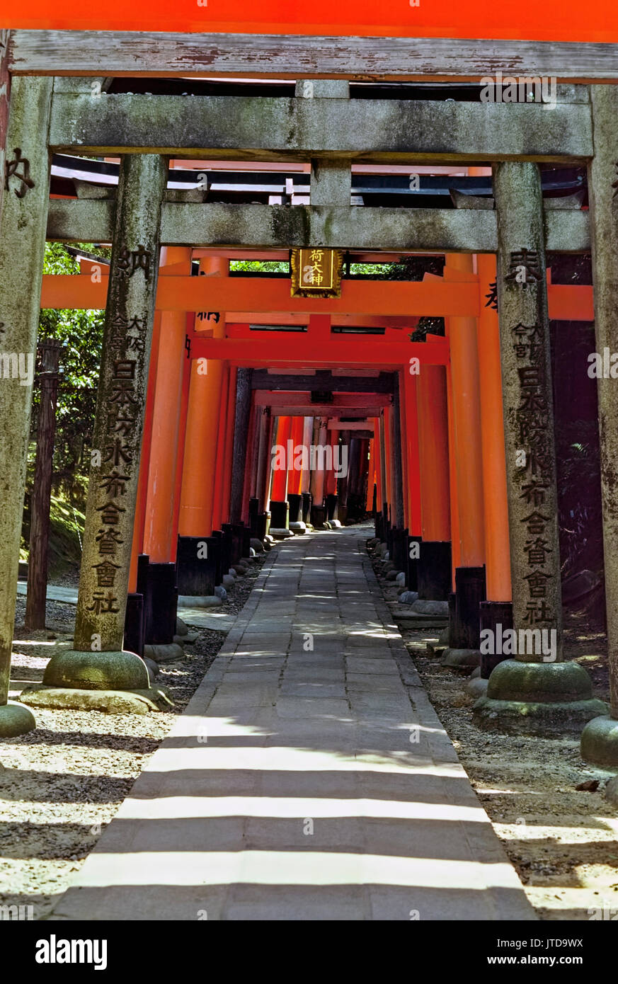 Torii-Tore in Fushimi Inari Schrein, Kyoto, Japan Stockfoto