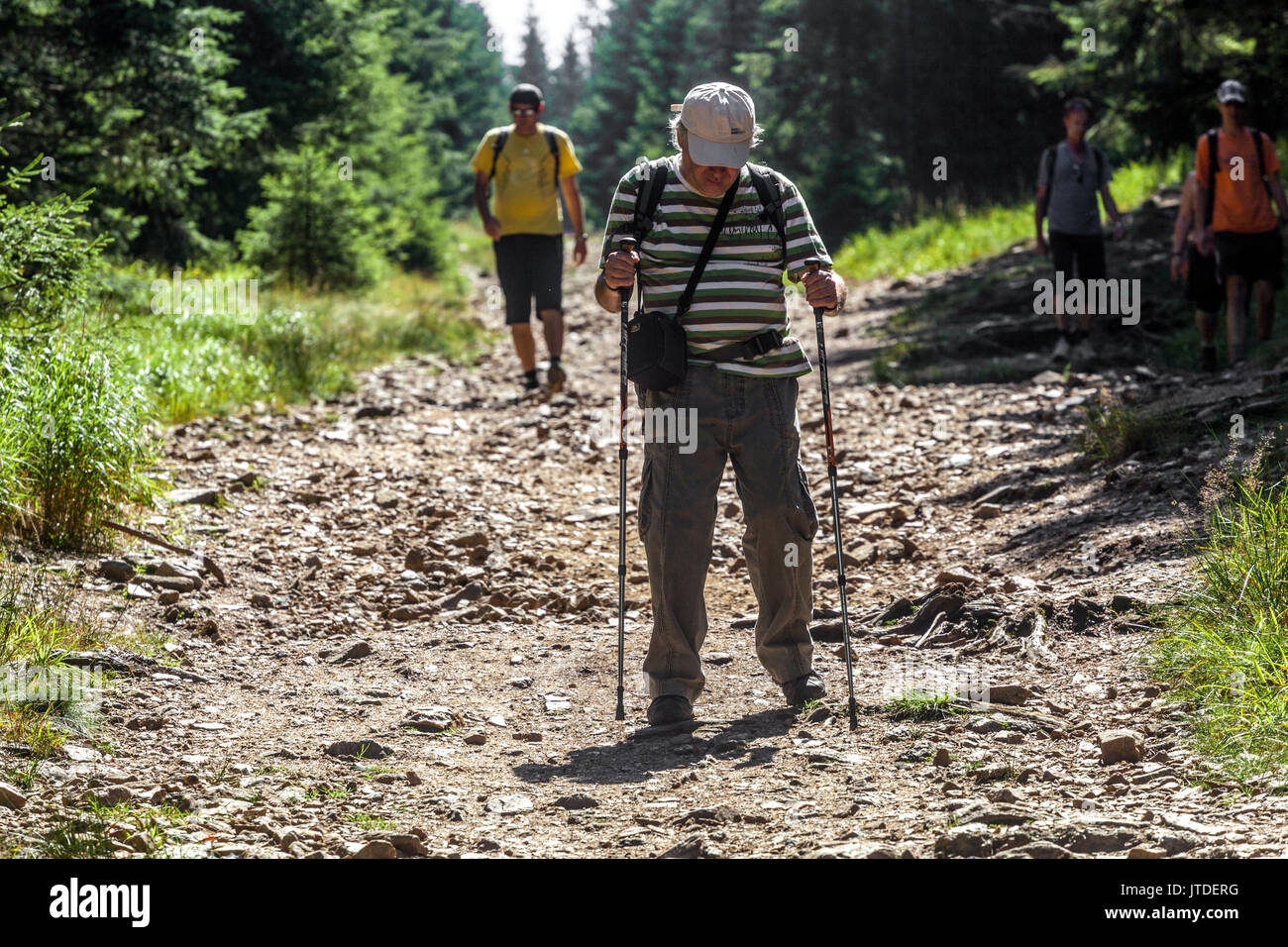 Nationalpark Sumava, Tschechien, Senior nordic walking, Tschechische Republik Stockfoto