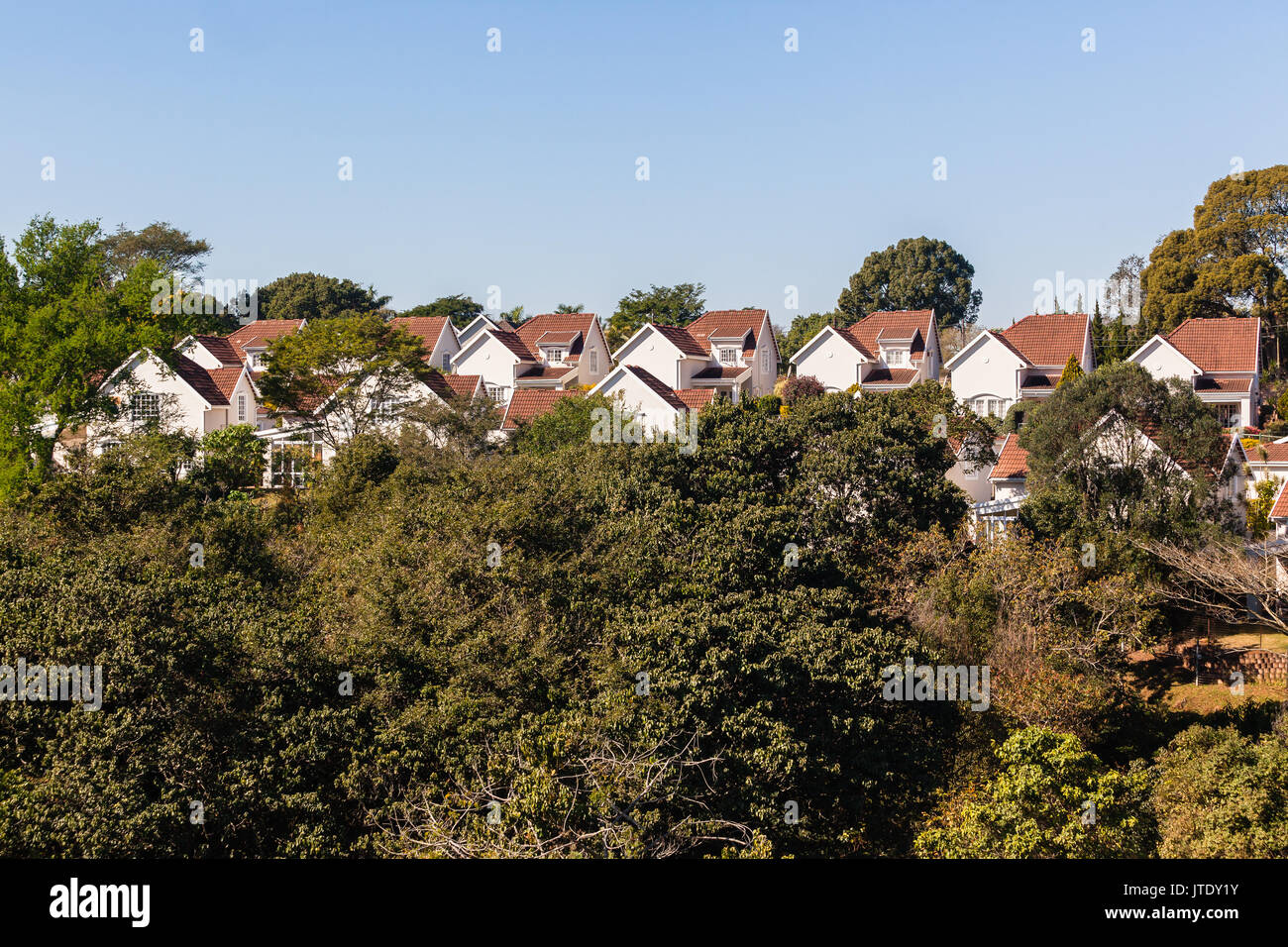 Wohnungen Häuser Cluster in der Nähe lebende Gemeinschaft in der Landschaft mit Baum flora Landschaft.. Stockfoto