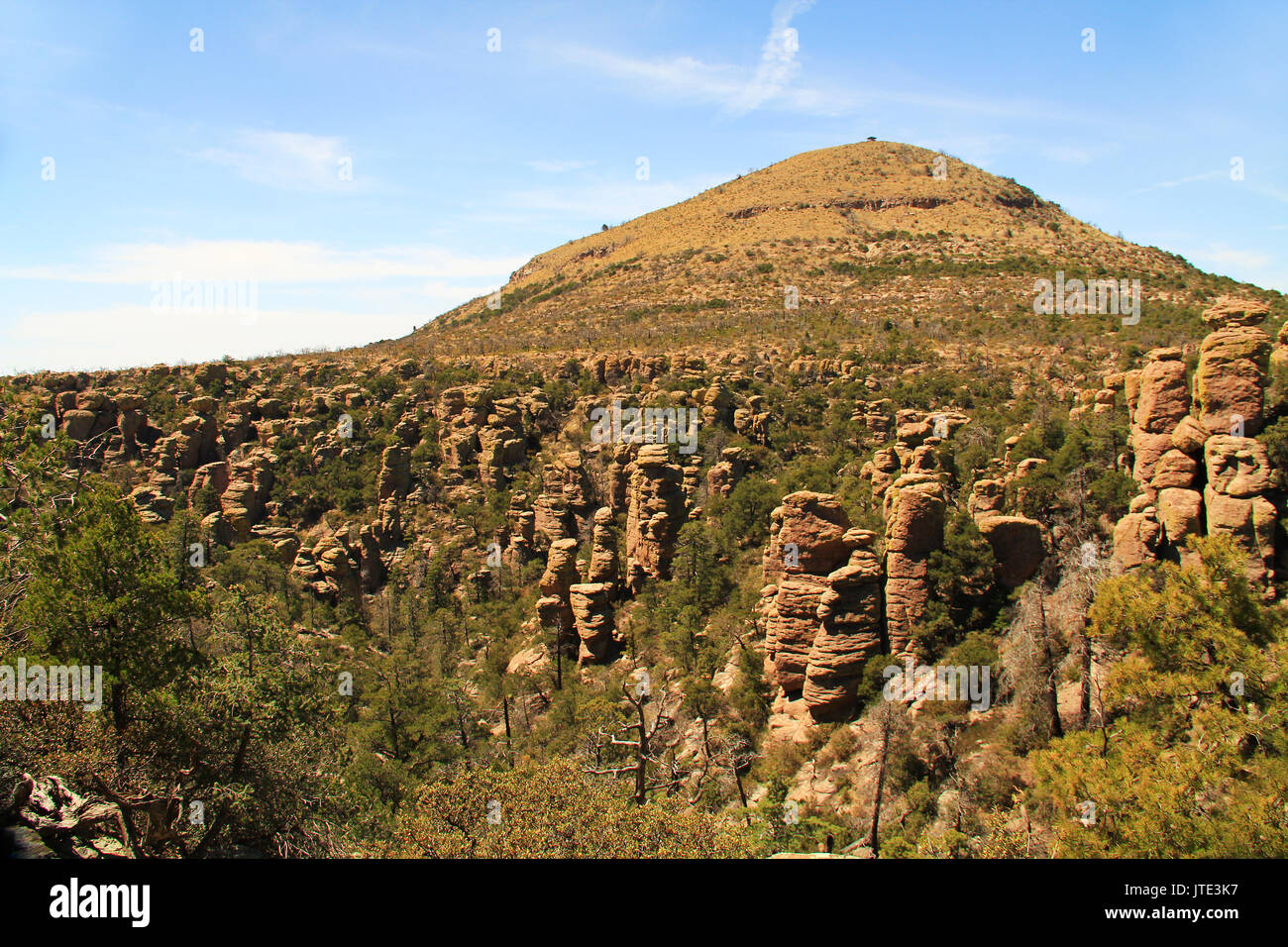 Sugarloaf Mountain in Echo Canyon mit Rock hoodoos Formationen in der Chiricahua National Monument in der Nähe von Wilcox, im südlichen Arizona, USA. Stockfoto