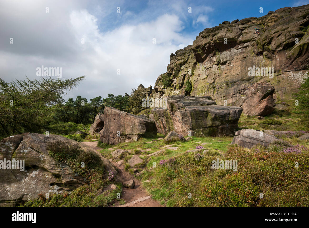 Rock Gesicht an der Kakerlaken im Peak District National Park, Staffordshire, England. Stockfoto