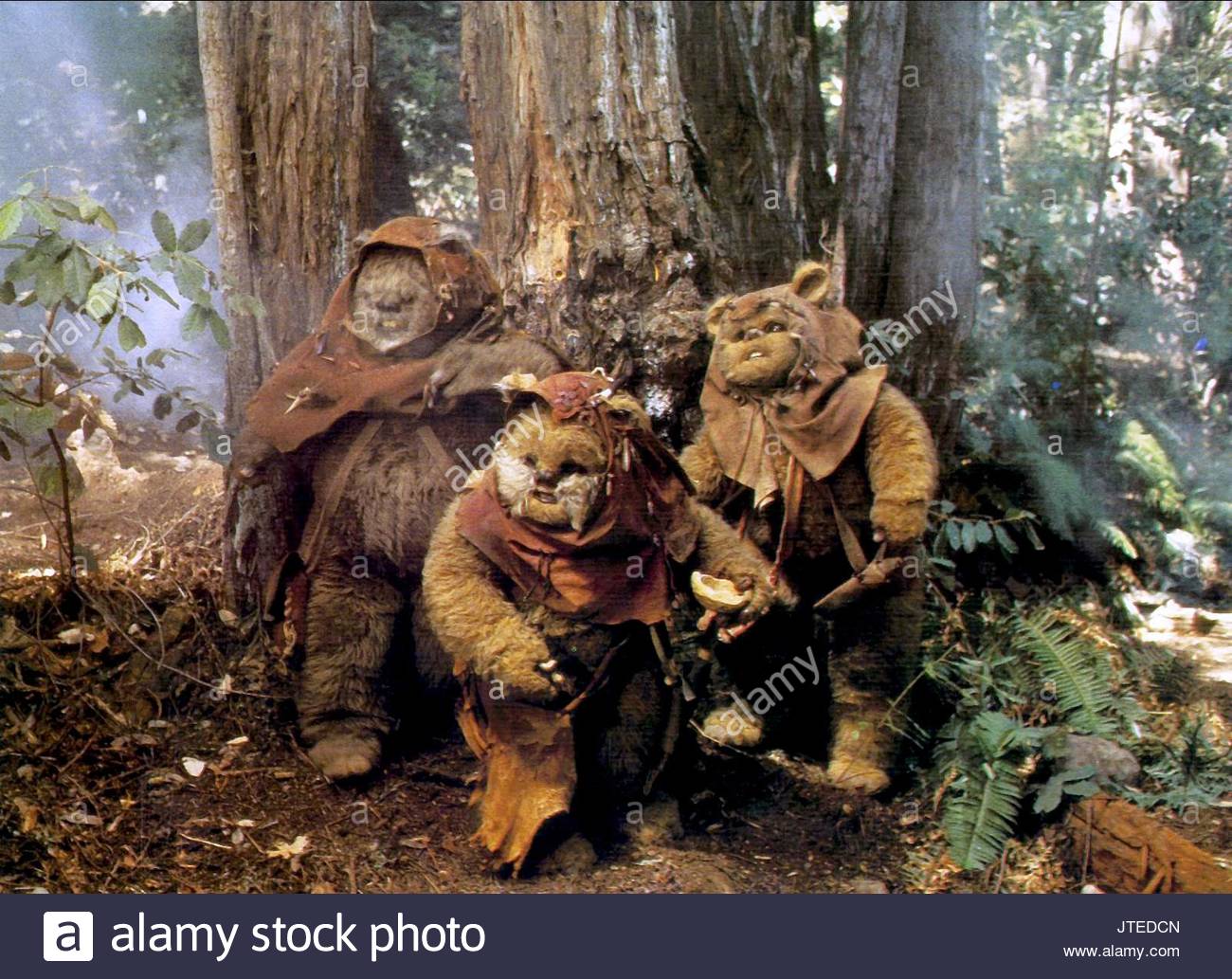 Ewoks The Ewok Adventure Stockfotos & Ewoks The Ewok Adventure Bilder