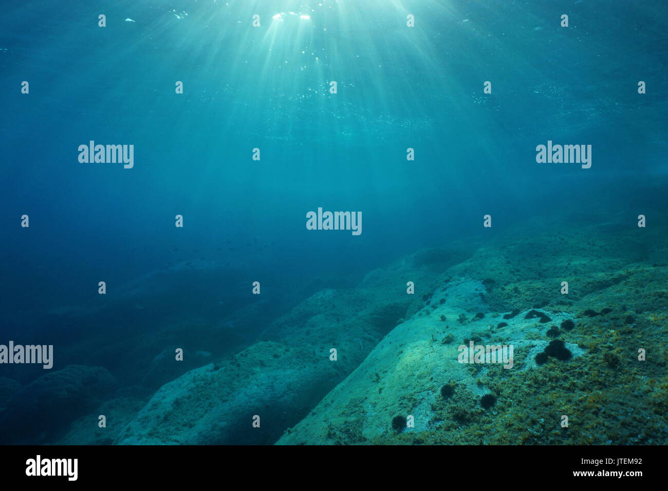 Natürliches Sonnenlicht Unterwasser durch Wasser im Mittelmeer auf einem felsigen Meeresgrund, Katalonien, Costa Brava, Spanien Stockfoto