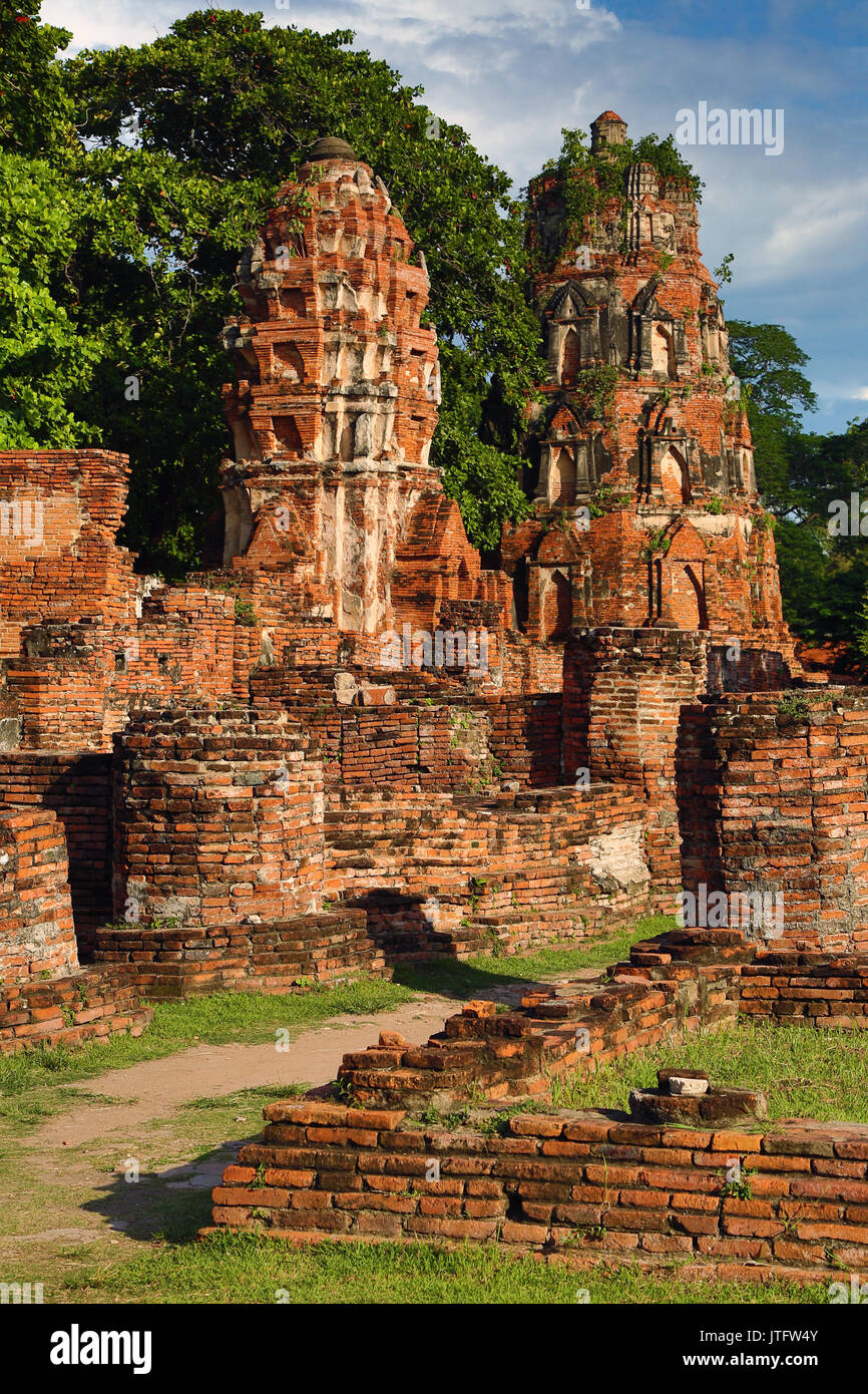 Ruinen von Wat Mahathat Tempel, Ayutthaya, Thailand Stockfoto