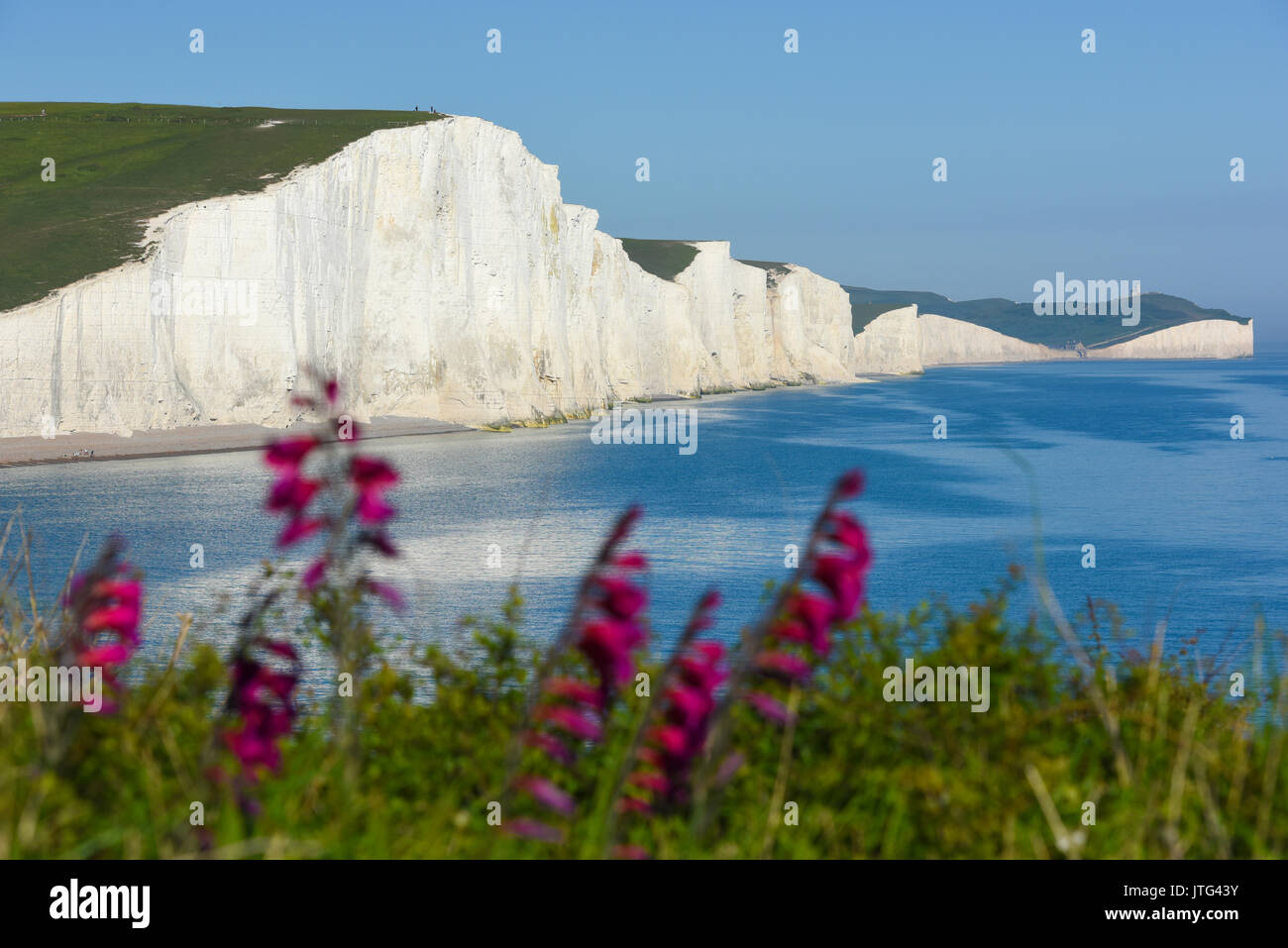 Die sieben Schwestern, von Seaford Kopf gesehen, East Sussex, Großbritannien Stockfoto