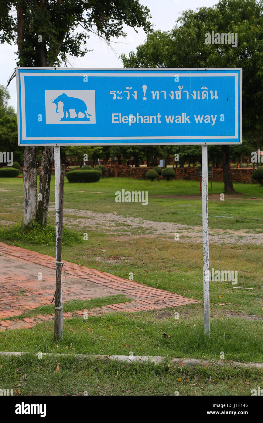Elefant Gehweg Zeichen für Stadtrundfahrten in Ayutthaya, Thailand Stockfoto