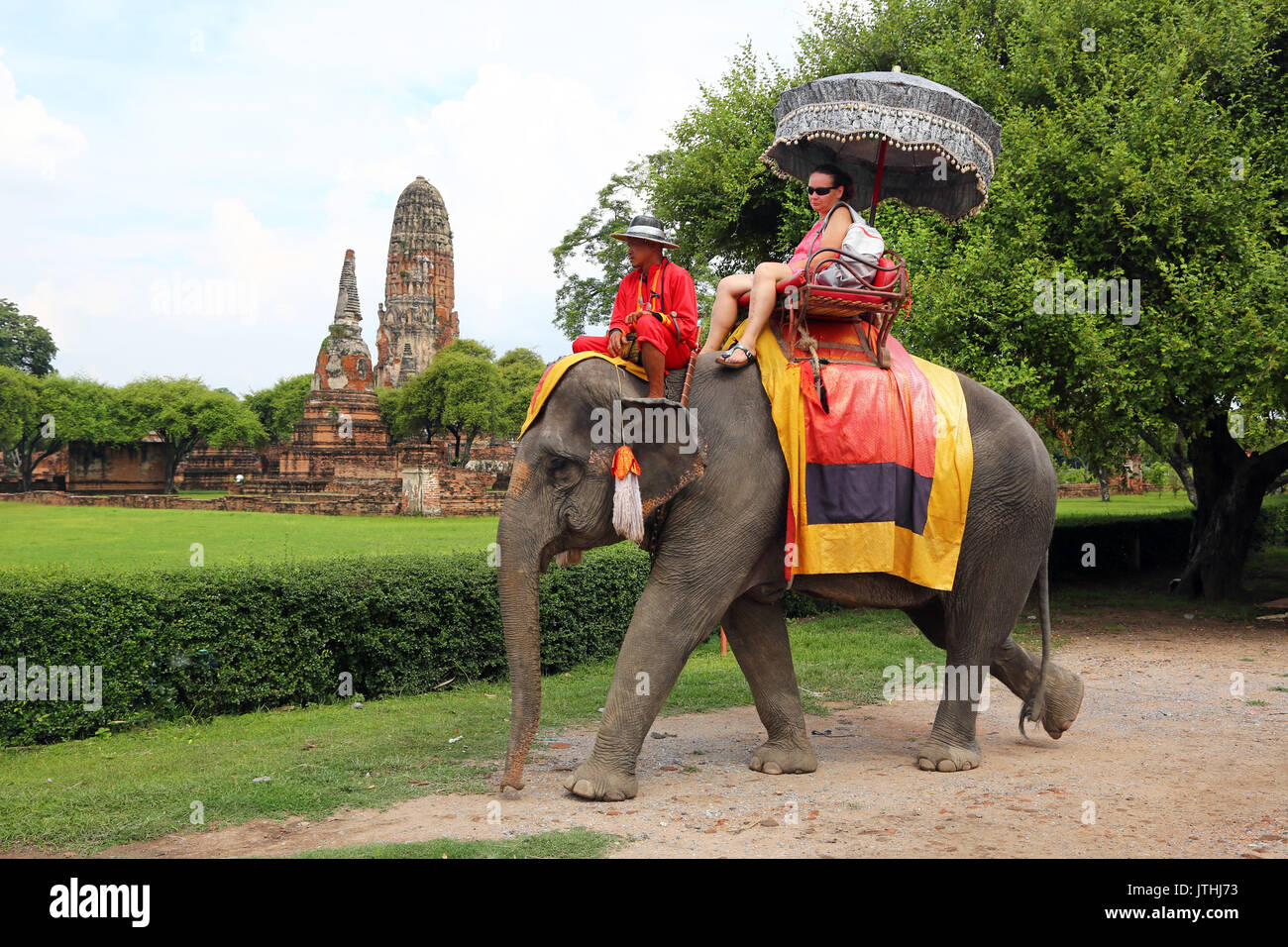 Elefanten für Stadtrundfahrten in Ayutthaya, Thailand Stockfoto