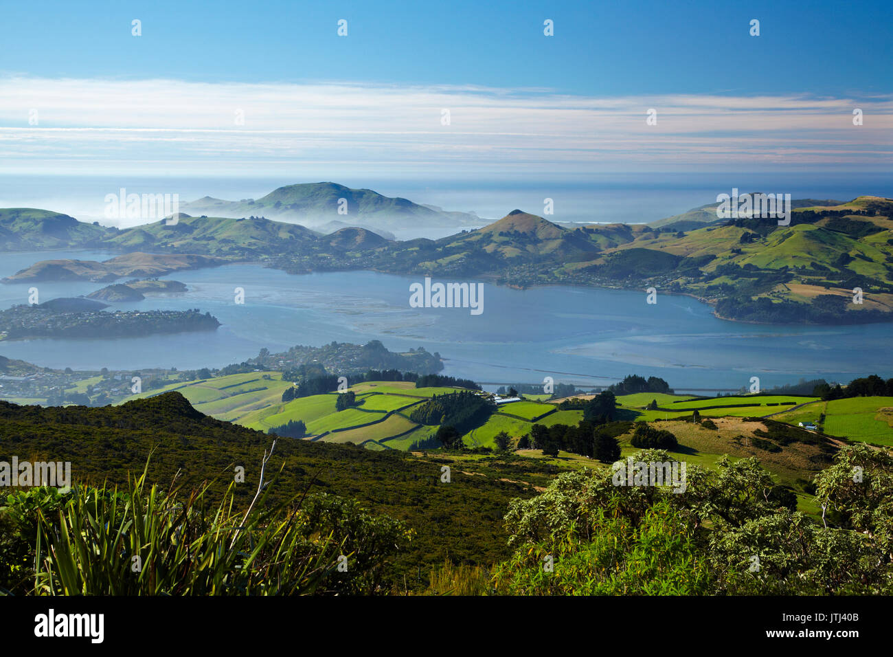 Otago Hafen und die Halbinsel Otago, Dunedin, Südinsel, Neuseeland Stockfoto