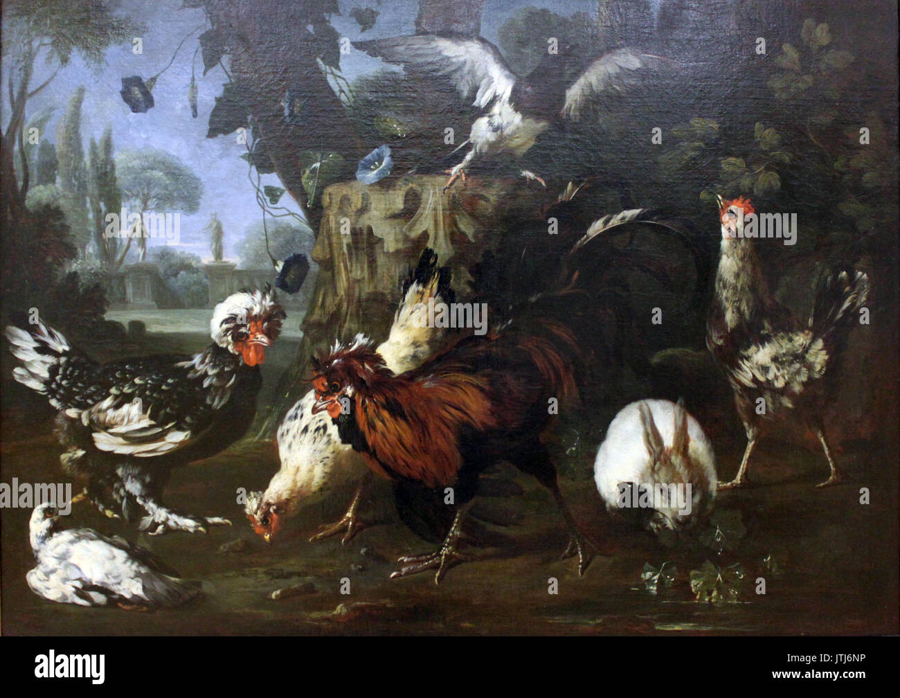 1697 Tamm Gefluegel anagoria Stockfoto