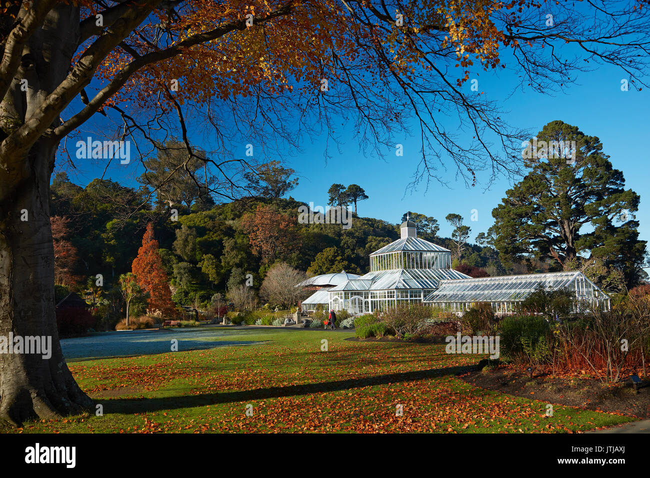 Herbst Farbe, botanischen Gärten, Dunedin, Otago, Südinsel, Neuseeland Stockfoto