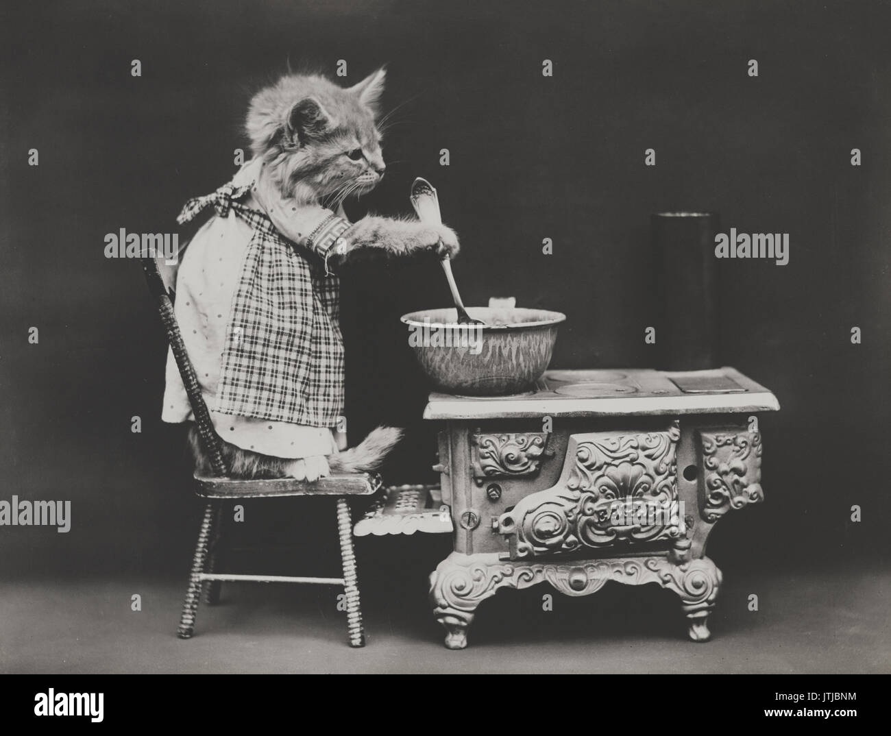 Der Koch - Vintage Foto zeigt ein Kätzchen trug ein Kleid und rühren an einem Herd. Stockfoto