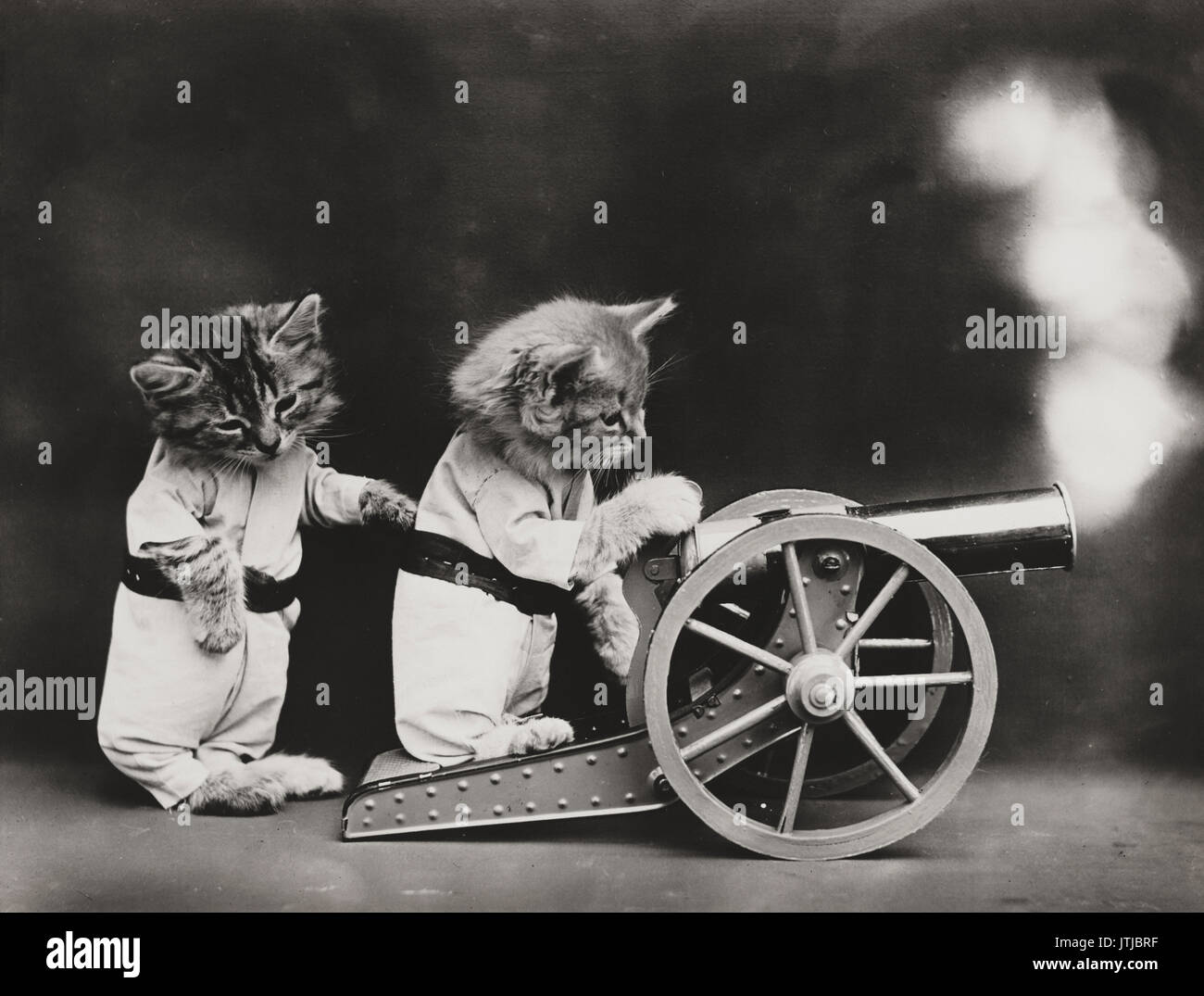 Feuer! - Vintage Foto zeigt zwei Kätzchen Tragen von Kleidung eine Kanone abgefeuert. Stockfoto