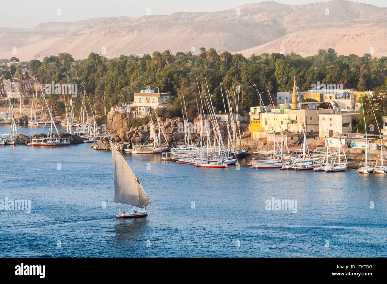 Feluccas vor der Insel Elephantine, Aswan. Stockfoto