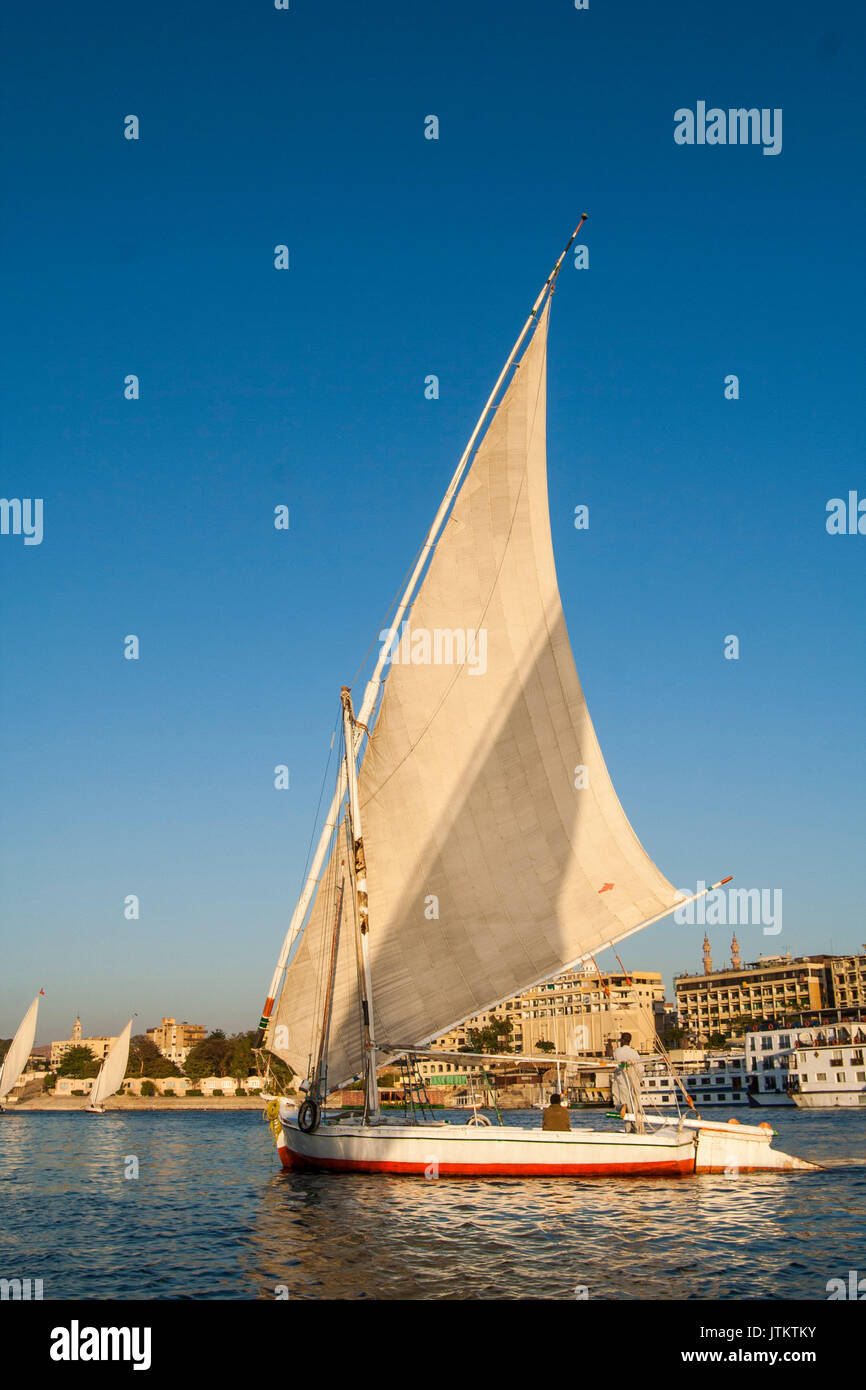 Feluccas vor der Insel Elephantine, Aswan. Stockfoto