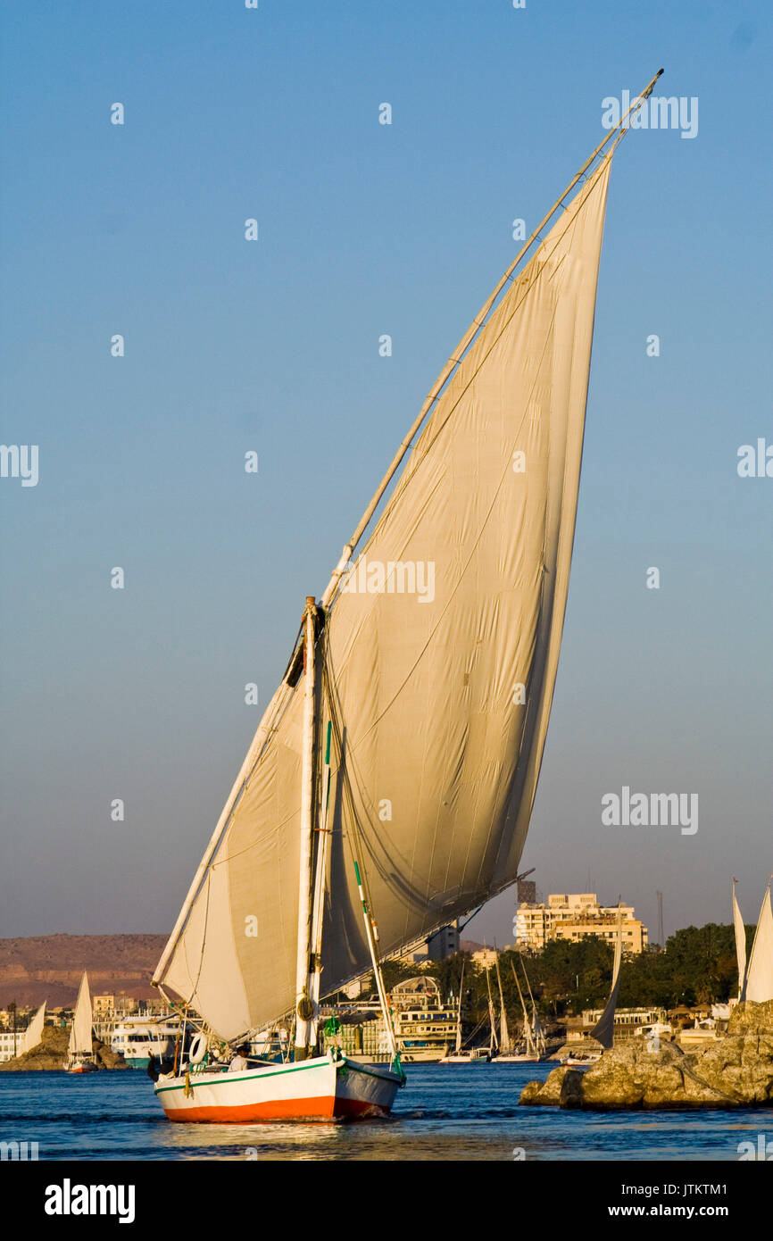 Feluccas vor der Insel Elephantine, Aswan. Stockfoto