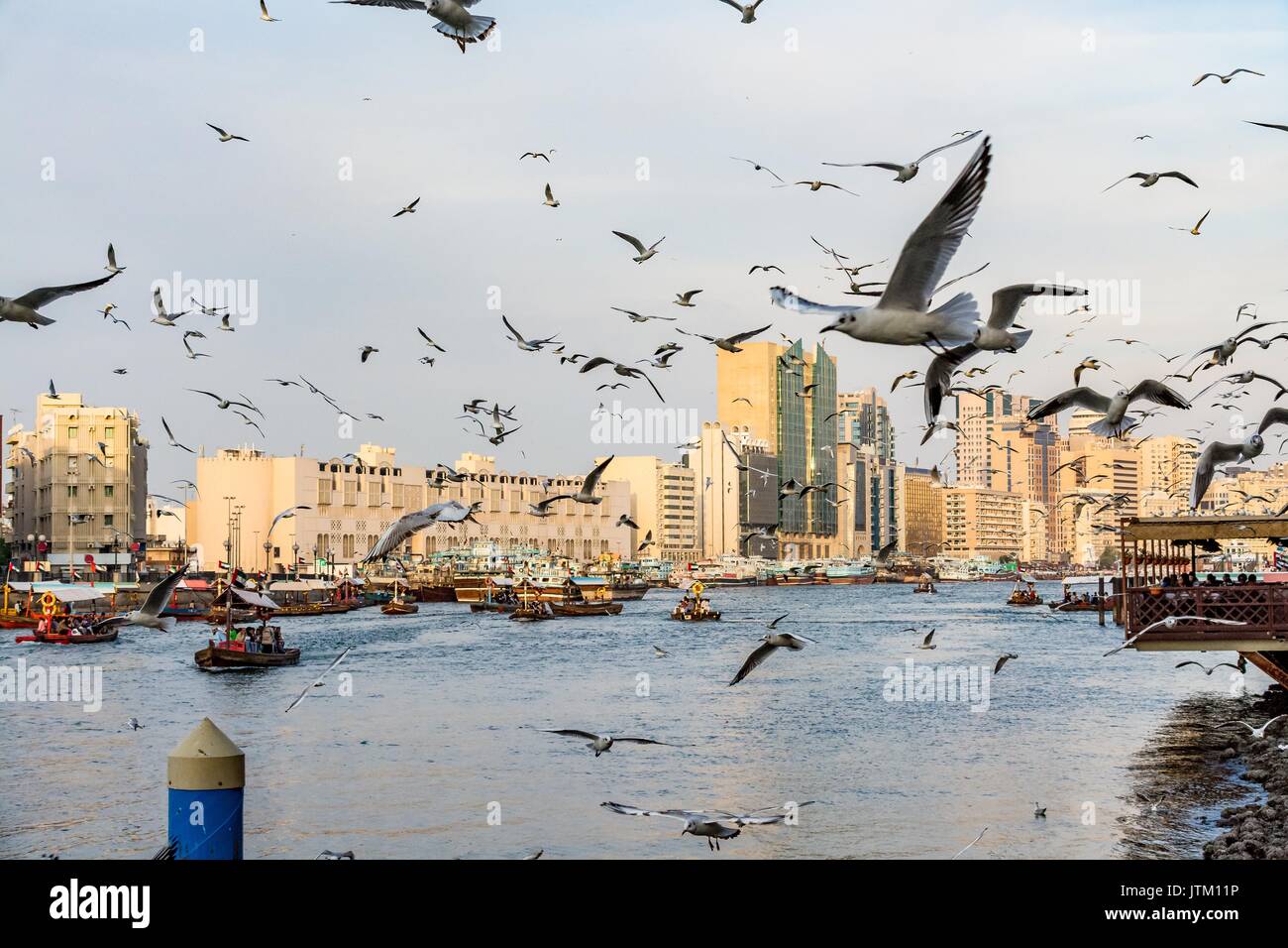 Blick auf den Dubai Creek mit vielen Möwen und abra Boote bei Sonnenuntergang, Vereinigte Arabische Emirate, VAE Stockfoto