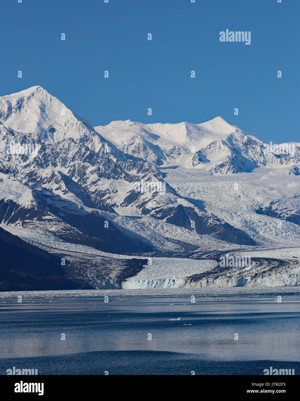 Gletscher in Harvard Preis William Sound im College Fjord, Alaska Stockfoto