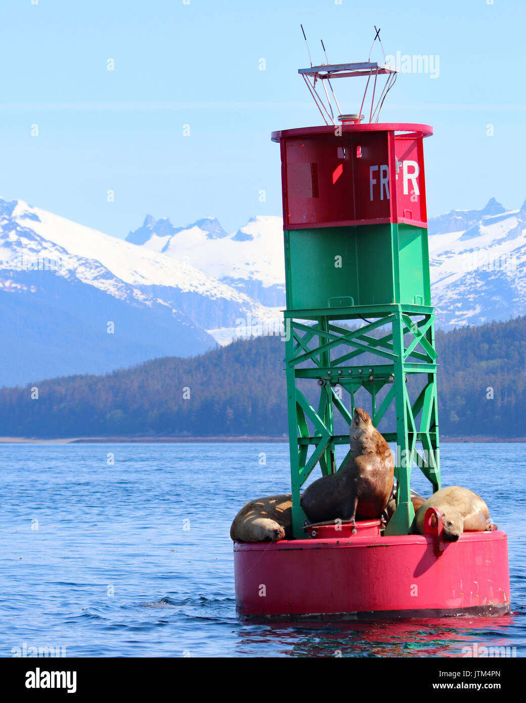 Seelöwen auf Boje mit schneebedeckten Bergen im Hintergrund Stockfoto