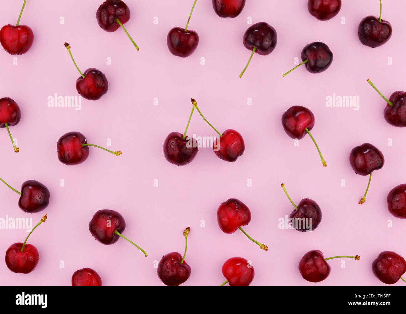 Rote Kirschen Am Trendigen Rosa Hintergrund Reif Flach Stil