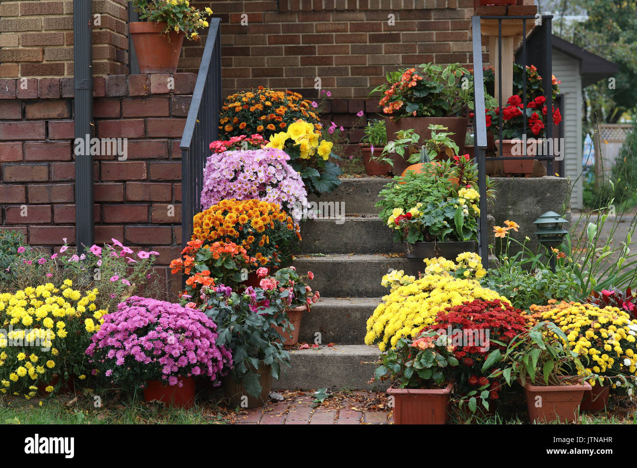 Weg zum Haupteingang Treppe der stilvoll eingerichteten Haus von bunten Topfpflanzen Blumen für Herbstferien Saison dekoriert. Stockfoto