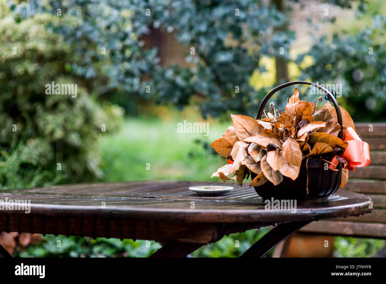Korb der toten Blumen auf einem nassen hölzernen Tisch in einem Garten Stockfoto