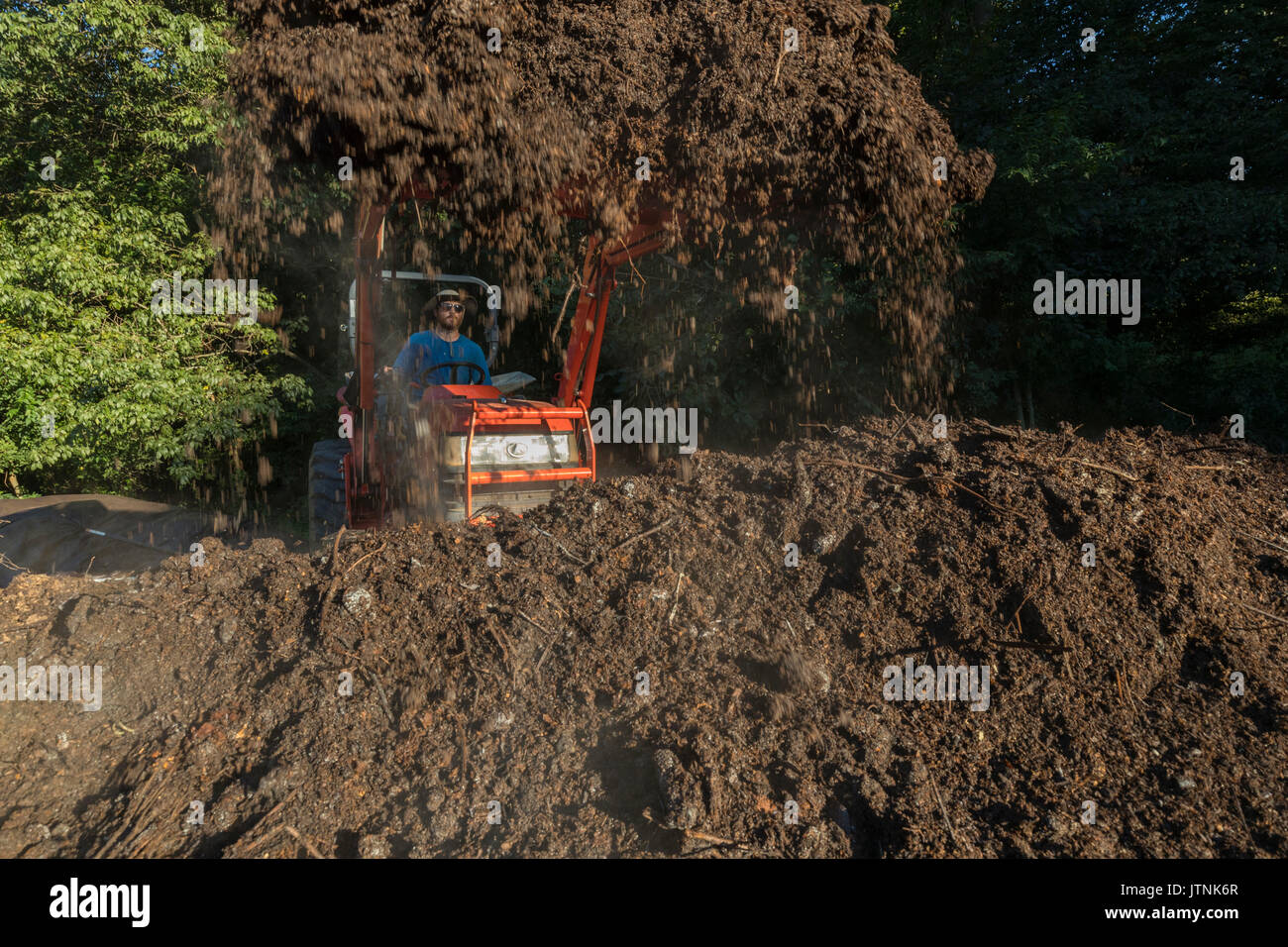 Liebe ist Liebe Farm, Atlanta Georgia. Farm Manager Maxwell Kompostierung Restaurant essen. Der Bauernhof ist einer der ältesten bio-zertifizierten Farmen in Georgia und ist von Gaia Gärten, eine lokale Gemeinschaft vermietet. Stockfoto
