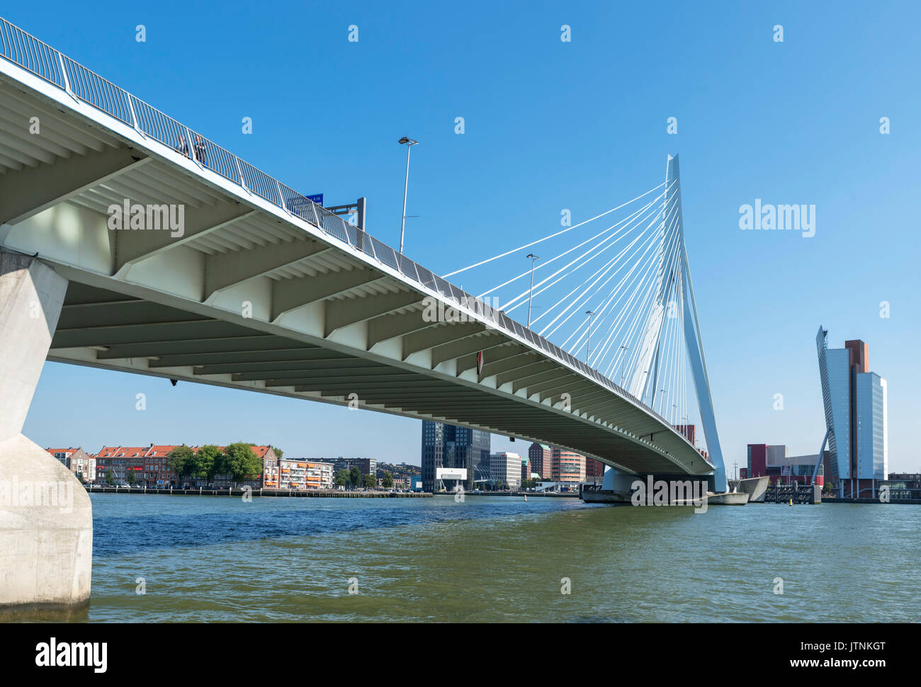 Der Erasmus-Brücke (Erasmusbrücke), Rotterdam, Niederlande Stockfoto