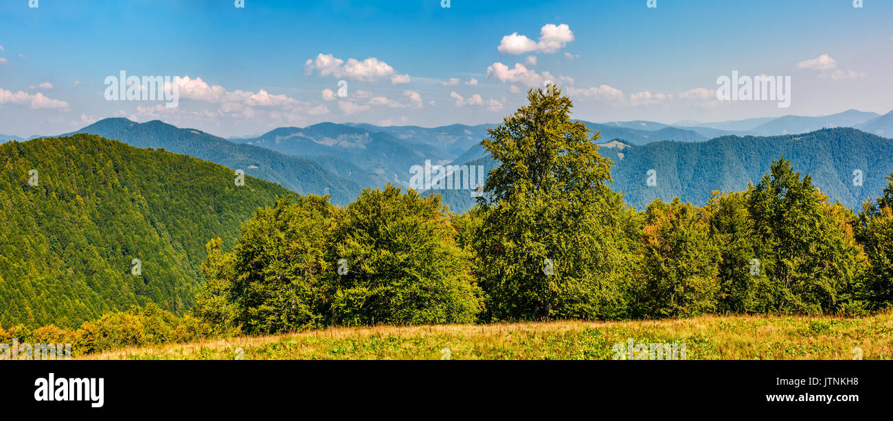 Wunderschöne bergige Panorama mit Wald im frühen Herbst Tag Stockfoto