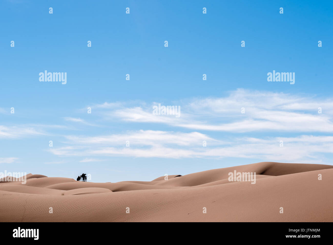 Sand dune, Sahara Stockfoto