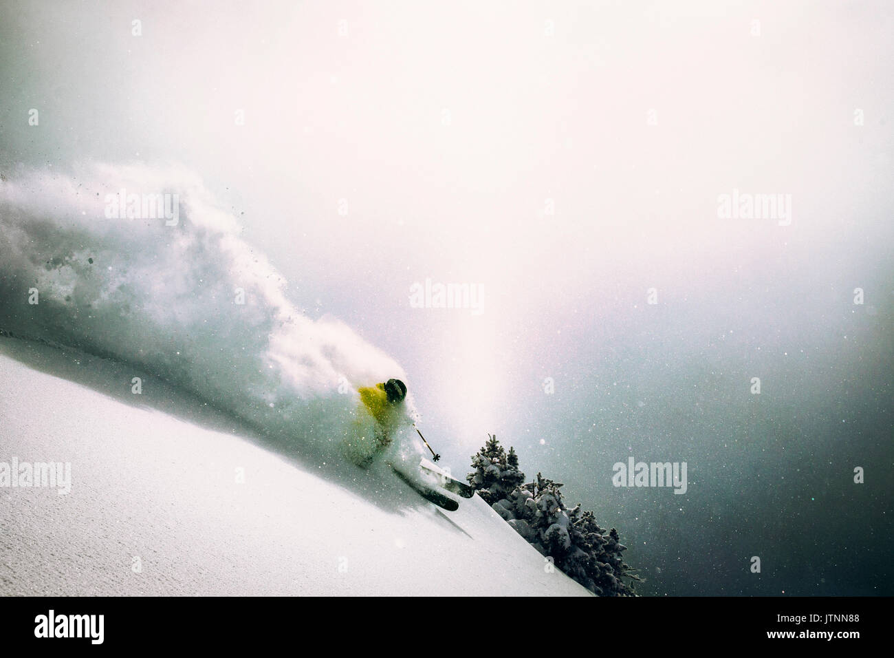 Ein Mann skifahren Pulver in Snowbird, Utah Stockfoto