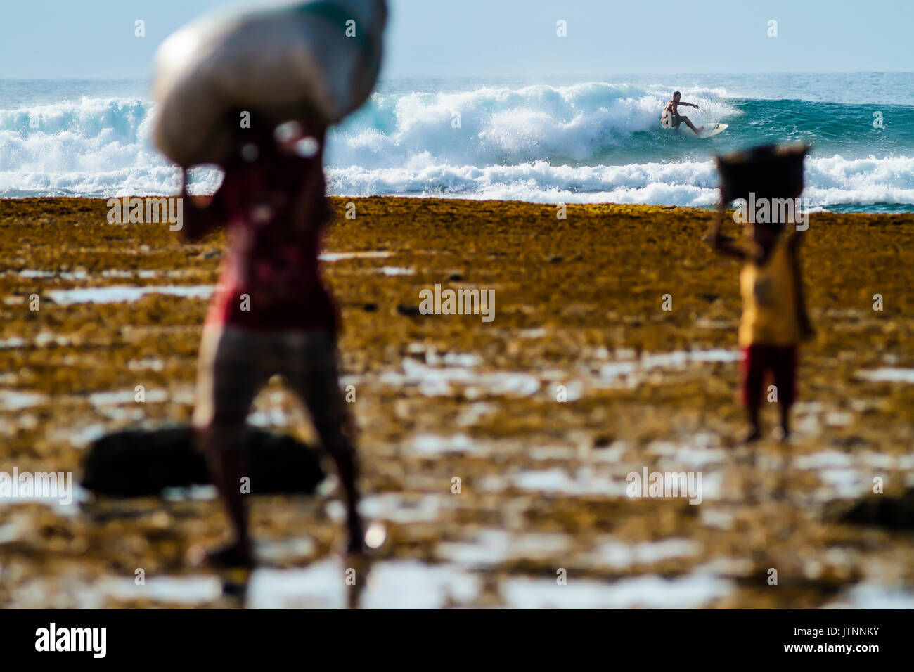 Surfer reiten Welle in den Hintergrund und die Menschen, die Säcke im Vordergrund, Lakey Peak, zentrale Sumbawa, Indonesien Stockfoto