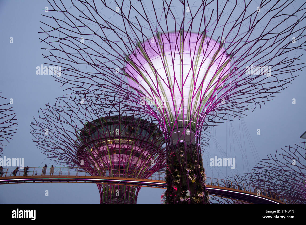 Licht Show im Supertree Grove, Gärten durch die Bucht südlich, Marina Bay, Singapore Stockfoto