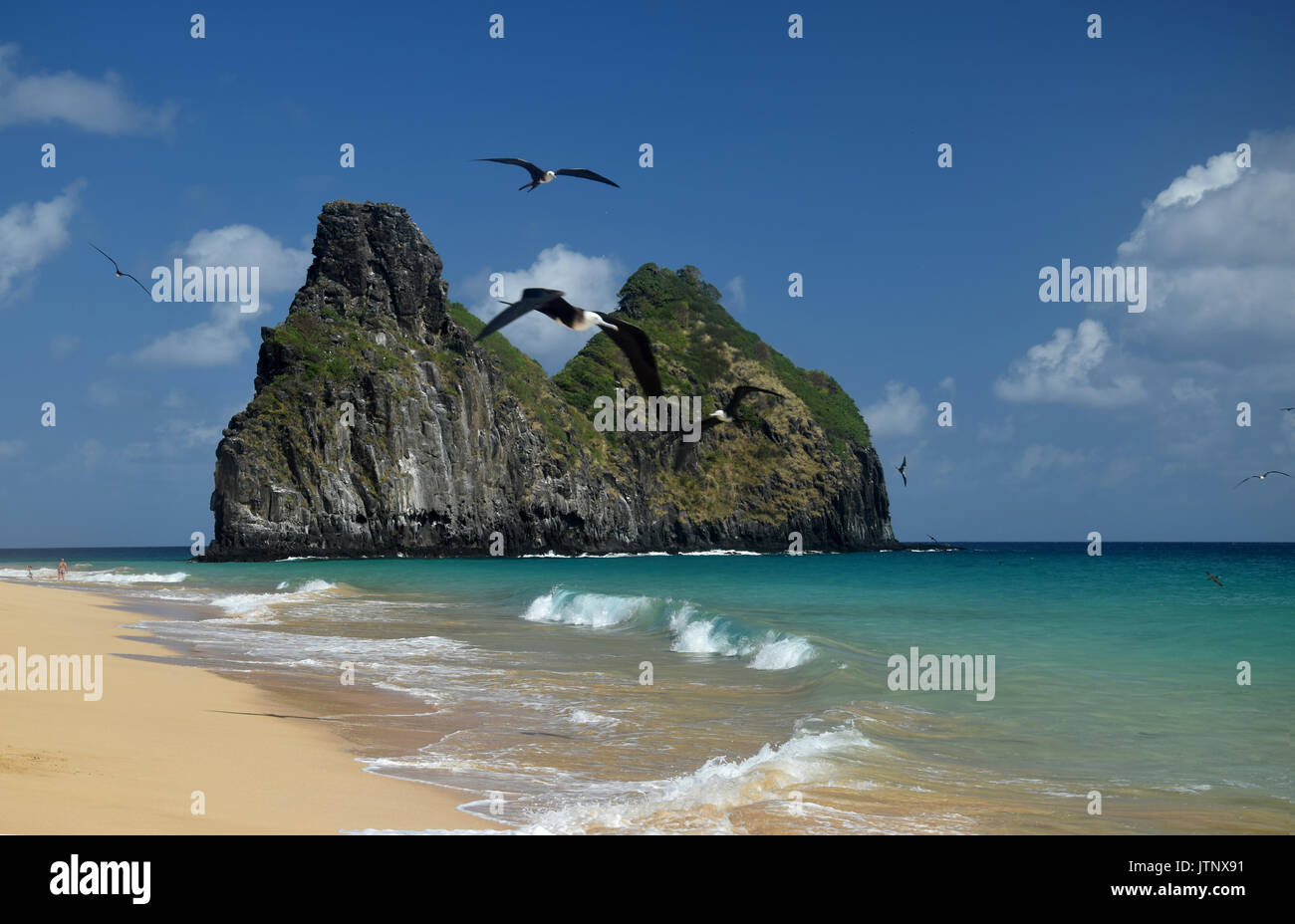 Kristallklare Meer Strand in Fernando de Noronha, Brasilien Stockfoto