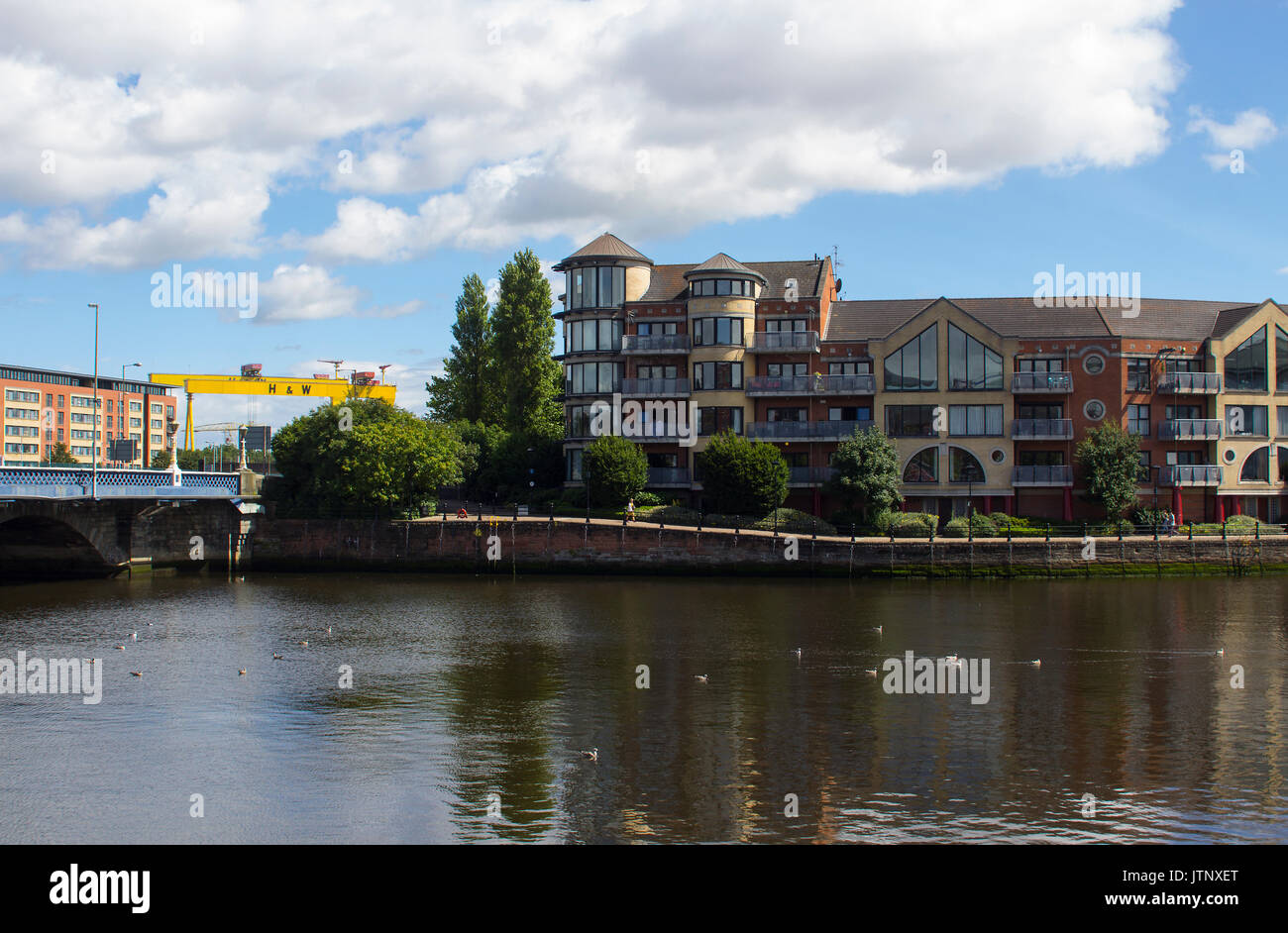 Die Apartments auf der Bank des Flusses Lagan neben dem Queen's Bridge im Zentrum von Belfast mit den ikonischen Harland und Wolff werft Kräne mit Blick auf t Stockfoto