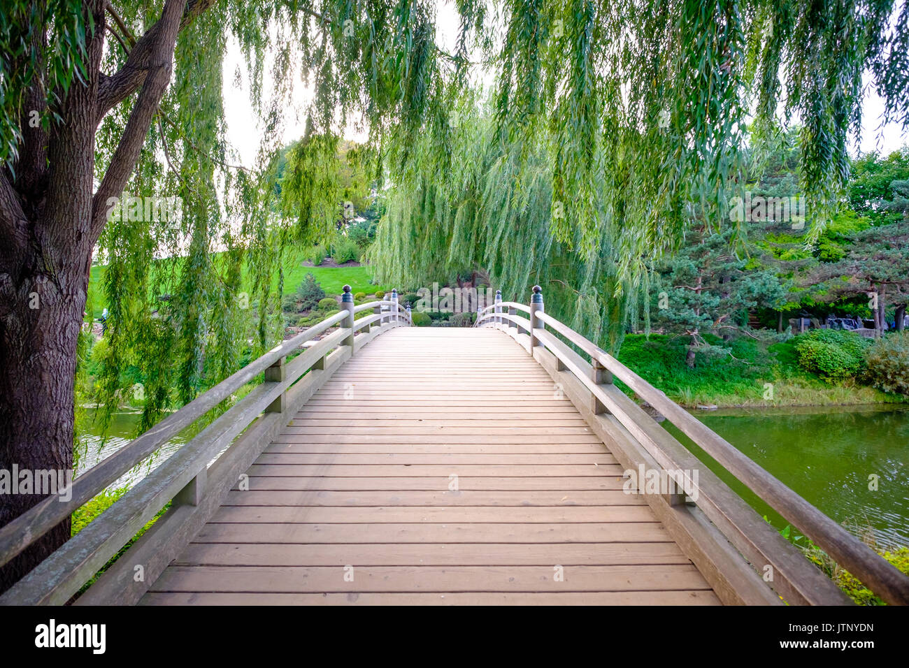 Holzbrücke Weg mit Bäumen Stockfoto