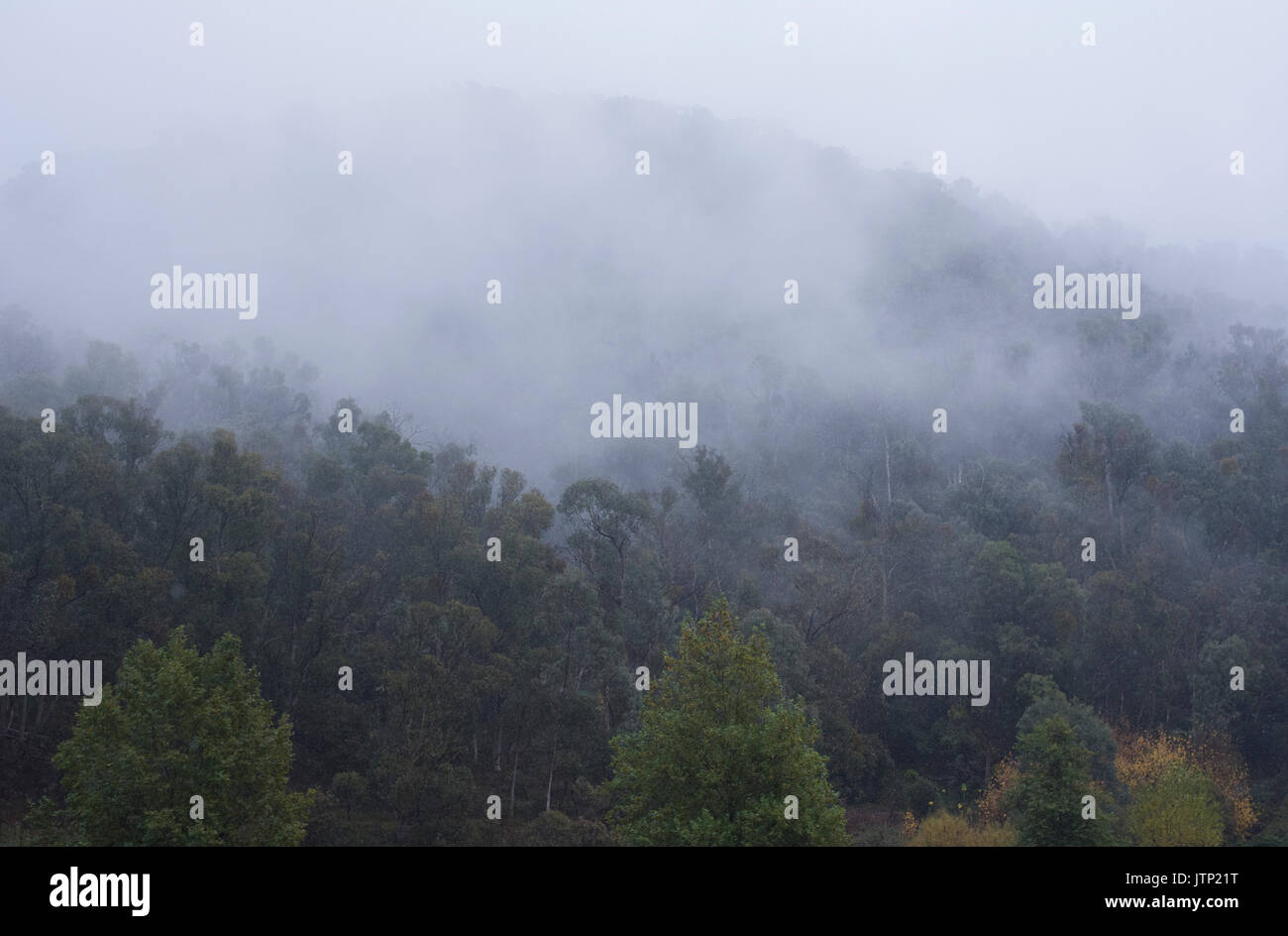 Foggy Mountain Landschaft Landschaft Stockfoto