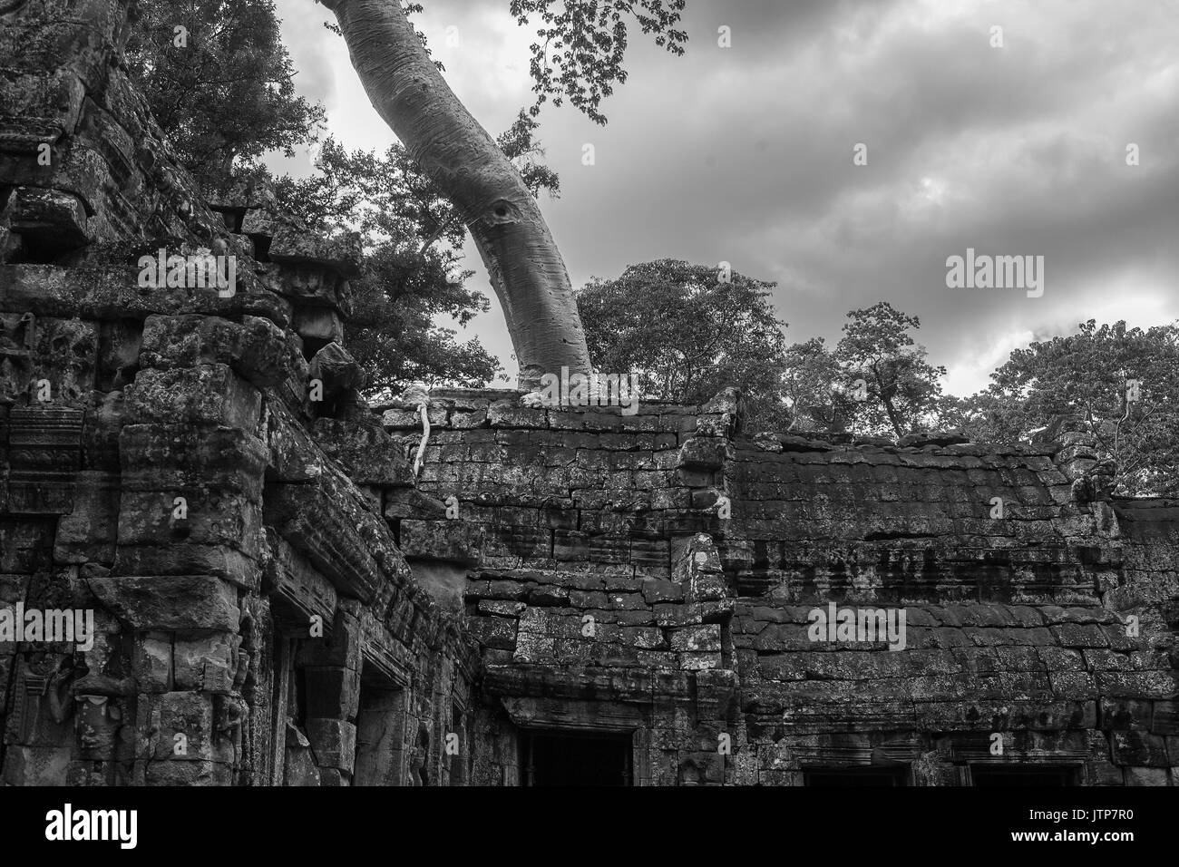 Östlichen gopura Eingang zu den wichtigsten Tempel Ta Prohm, Angkor, Siem Reap, Kambodscha: Schwarz und Weiss Stockfoto