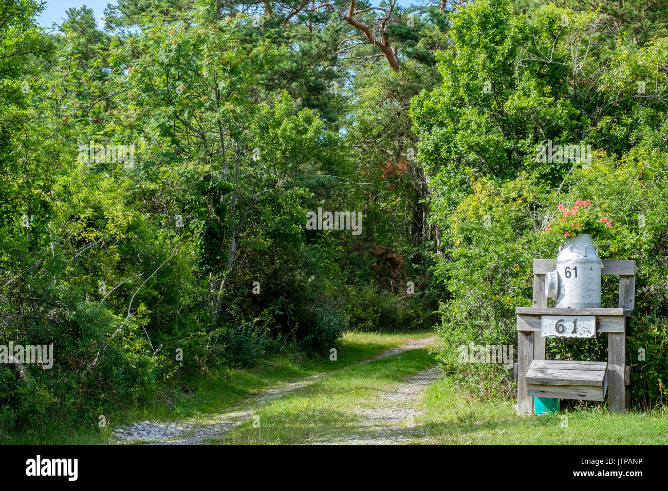 Traditionelle Milchkanne stehen als Dekoration entlang einer Landstraße auf der Schwedischen Ostsee Insel Oland verwendet. Stockfoto