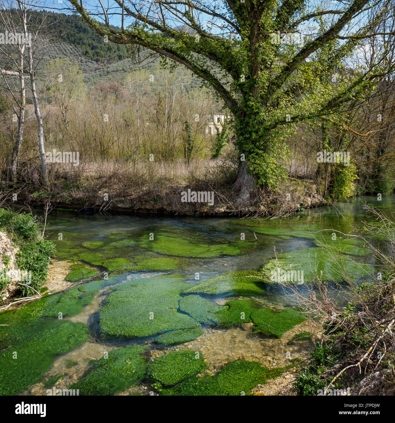 Clitunno River in der Nähe der Stadt von Campello in Umbrien (Italien). Stockfoto